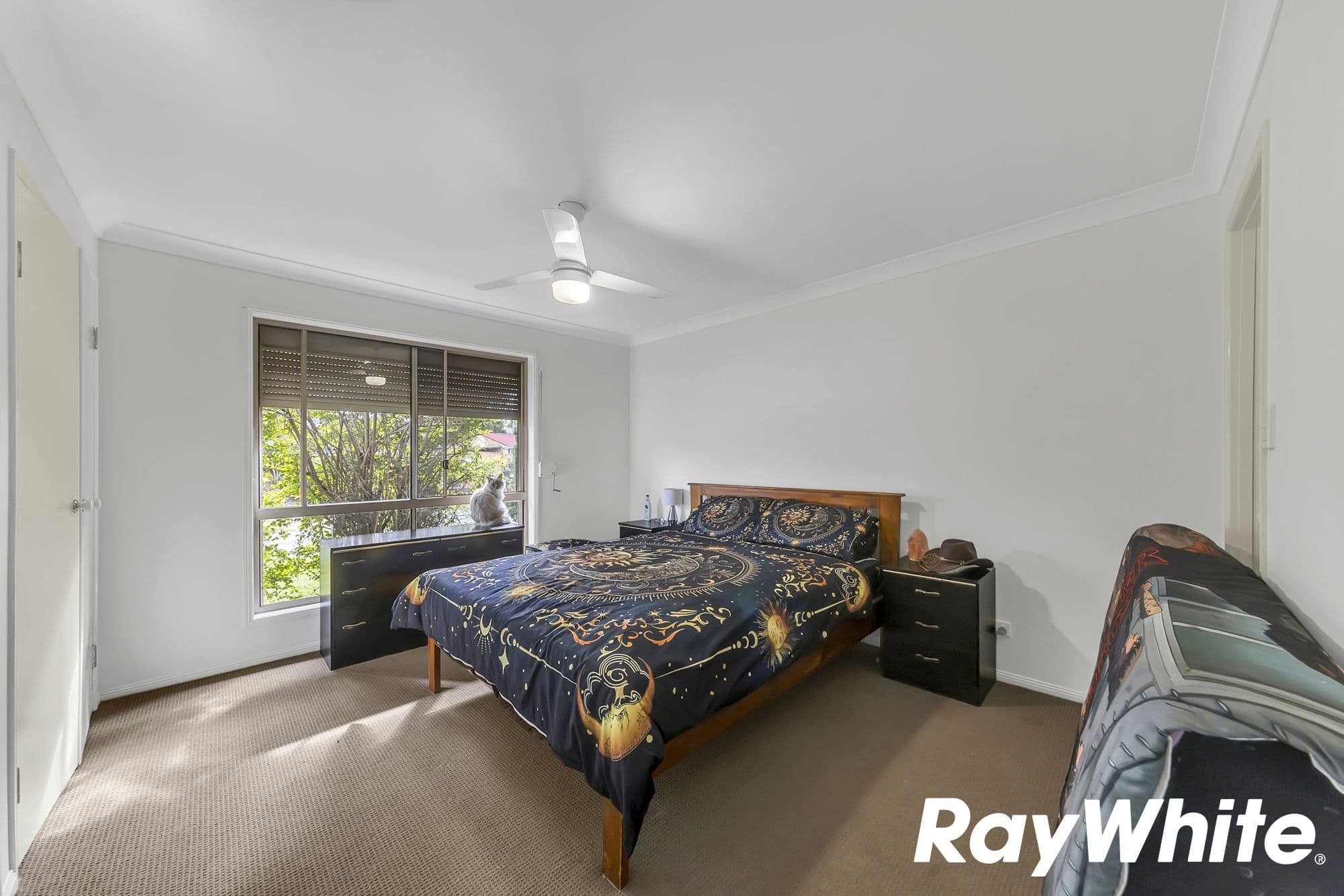 10 McGreavy Street, One Mile QLD 4305, One Mile - Thumbnail 7