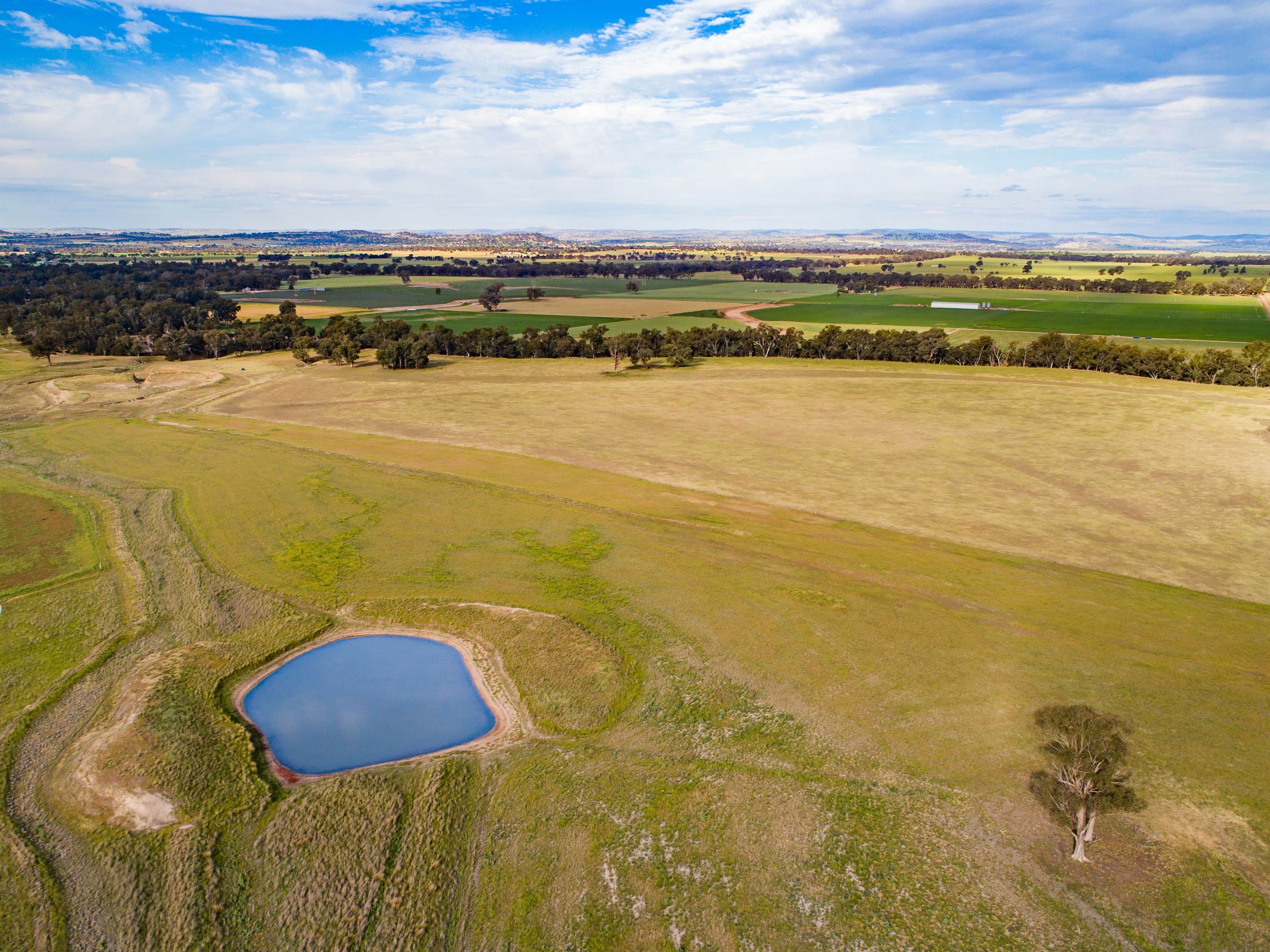 1015 Mid Western Highway, Cowra NSW 2794, Cowra - Thumbnail 6