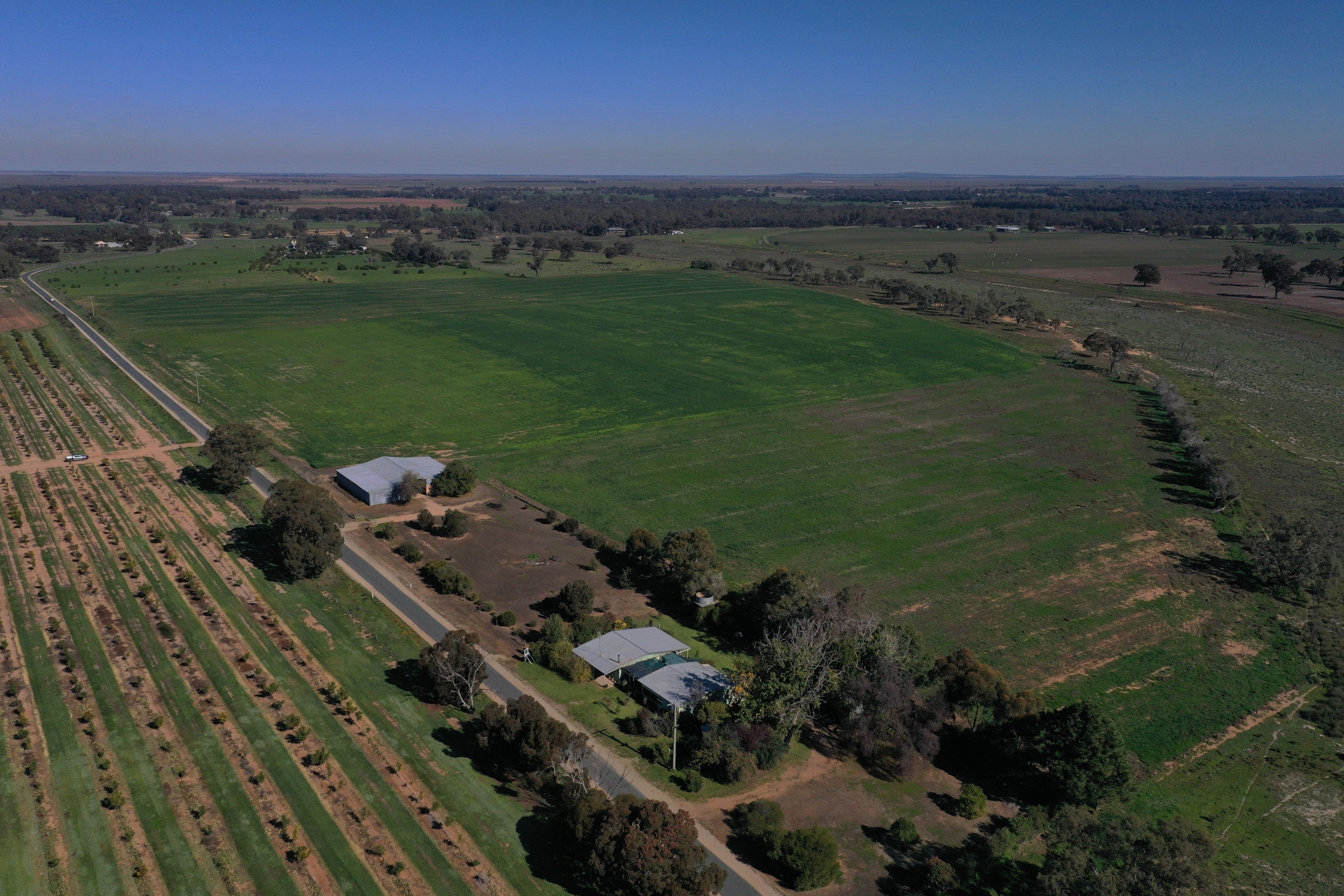 445 Torrumbarry Weir Road, Torrumbarry VIC 3562, Torrumbarry - Thumbnail 7