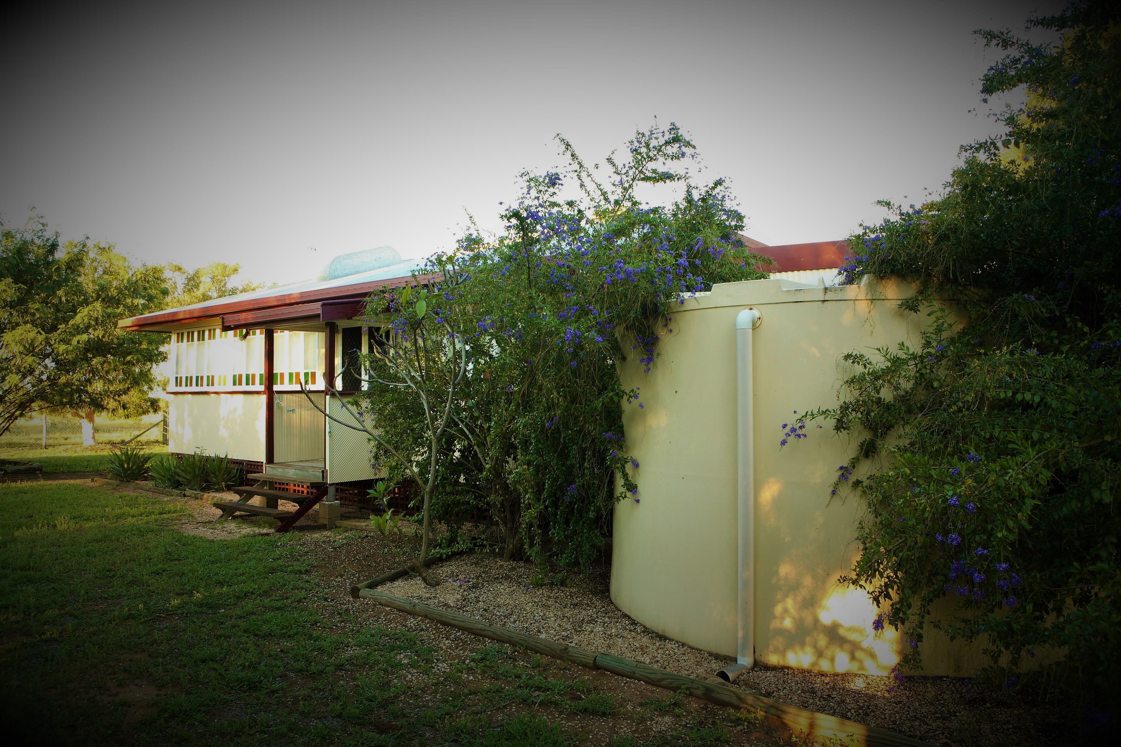382 Gregory Highway, Emerald QLD 4720, Emerald - Thumbnail 4