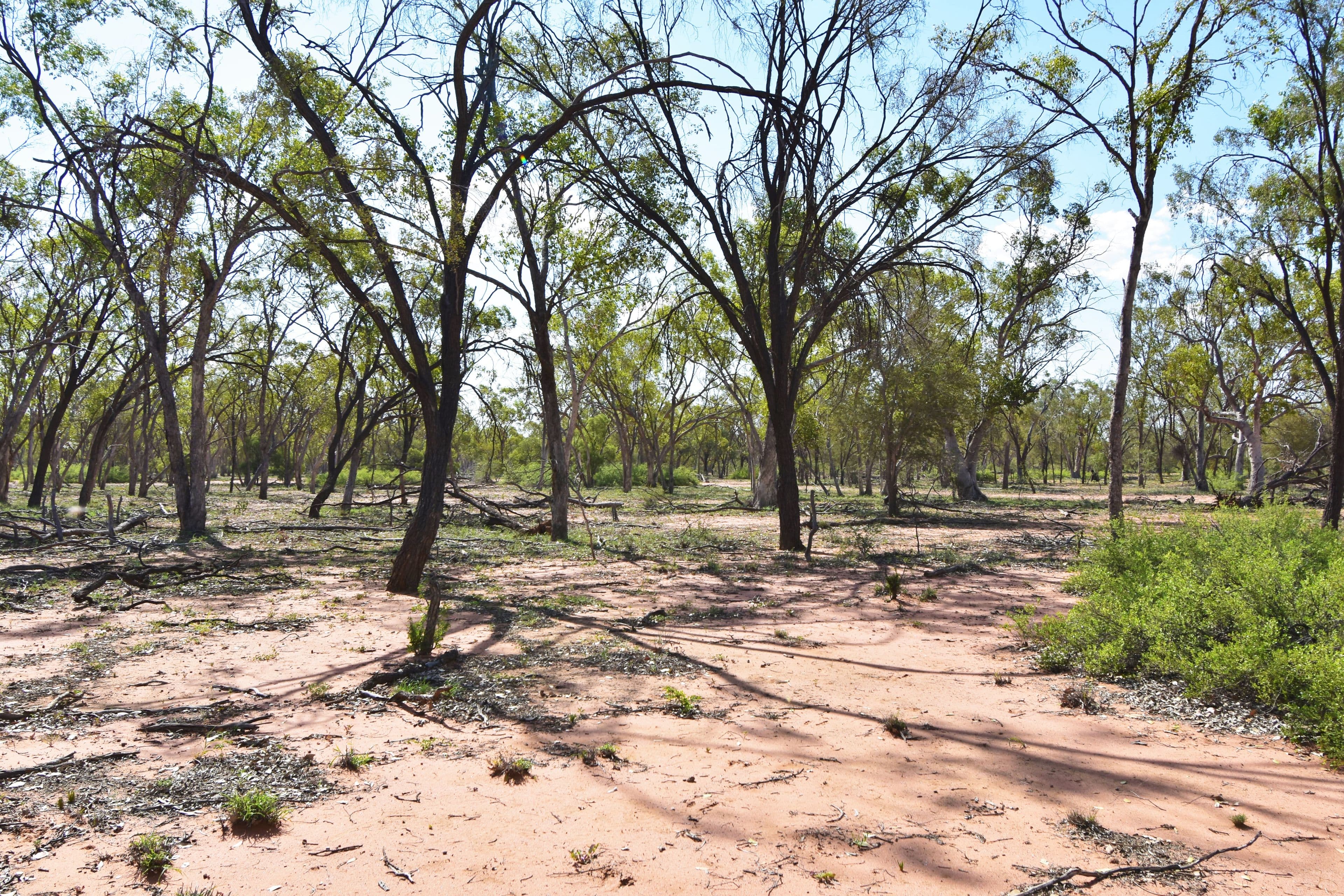 Barcaldine QLD 4725, Barcaldine - Thumbnail 7