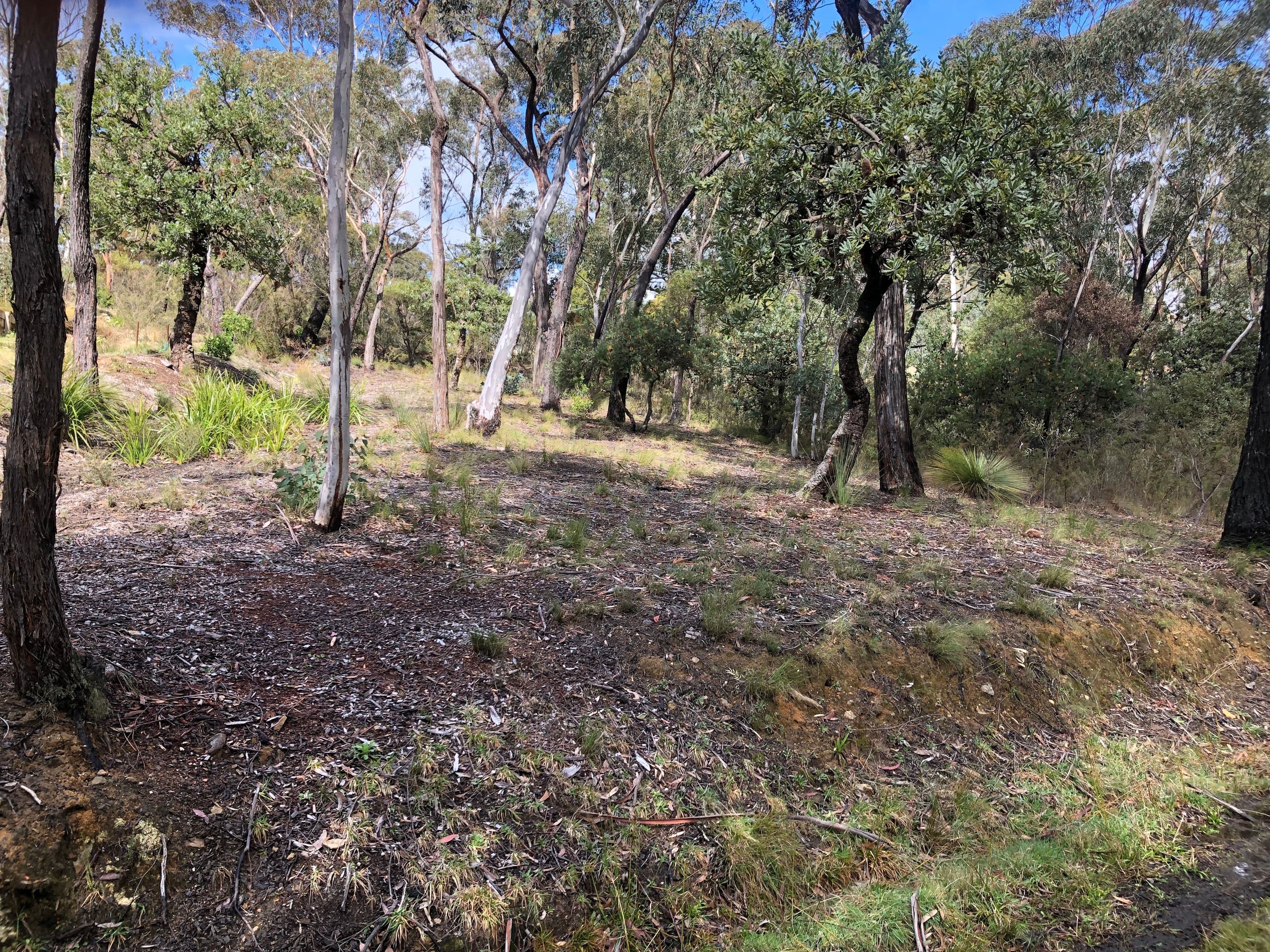 25 Innes Road, Mount Victoria NSW 2786, Mount Victoria - Thumbnail 3