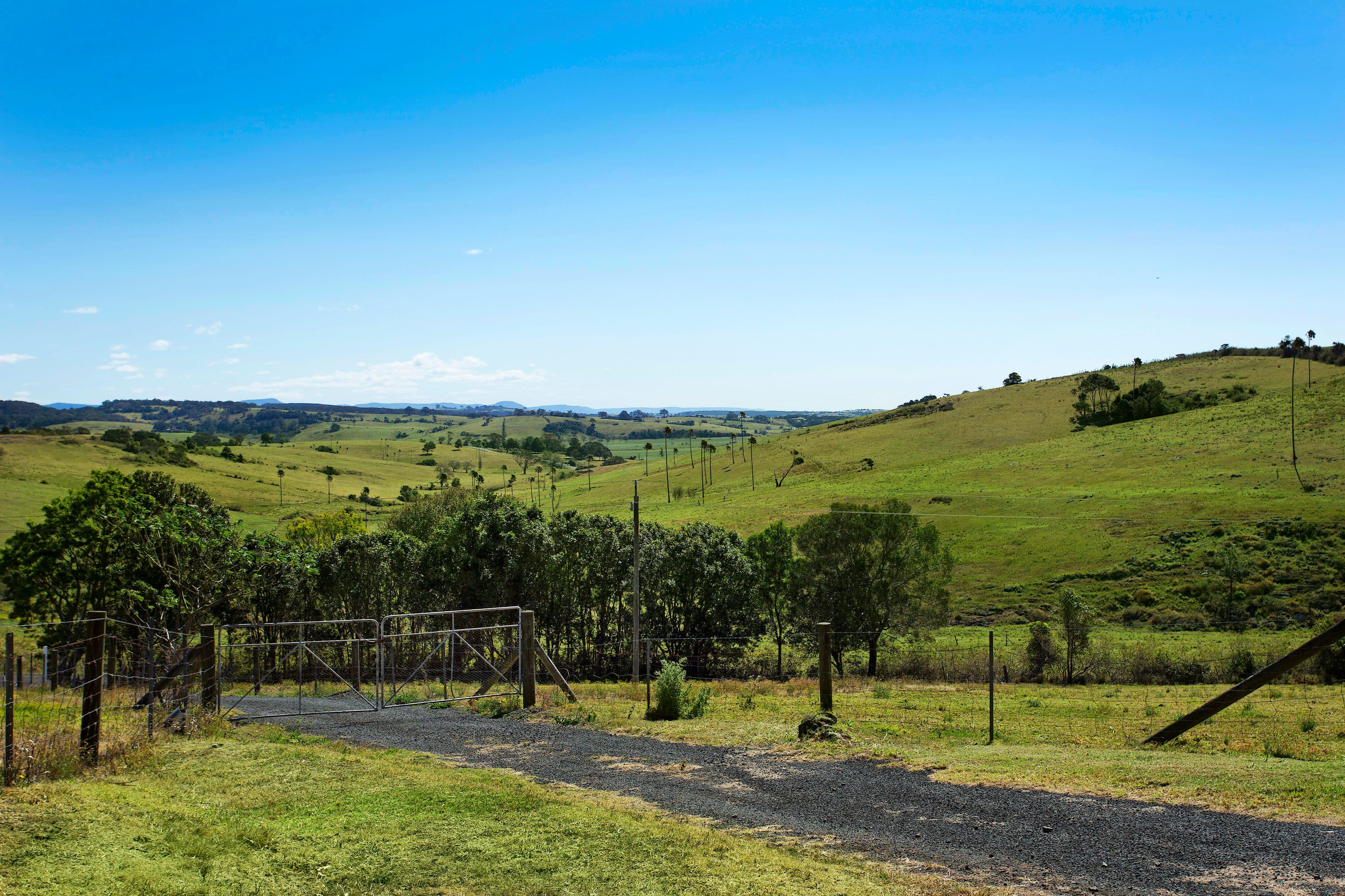 189 Jerrara Road, Kiama NSW 2533, Kiama - Thumbnail 5