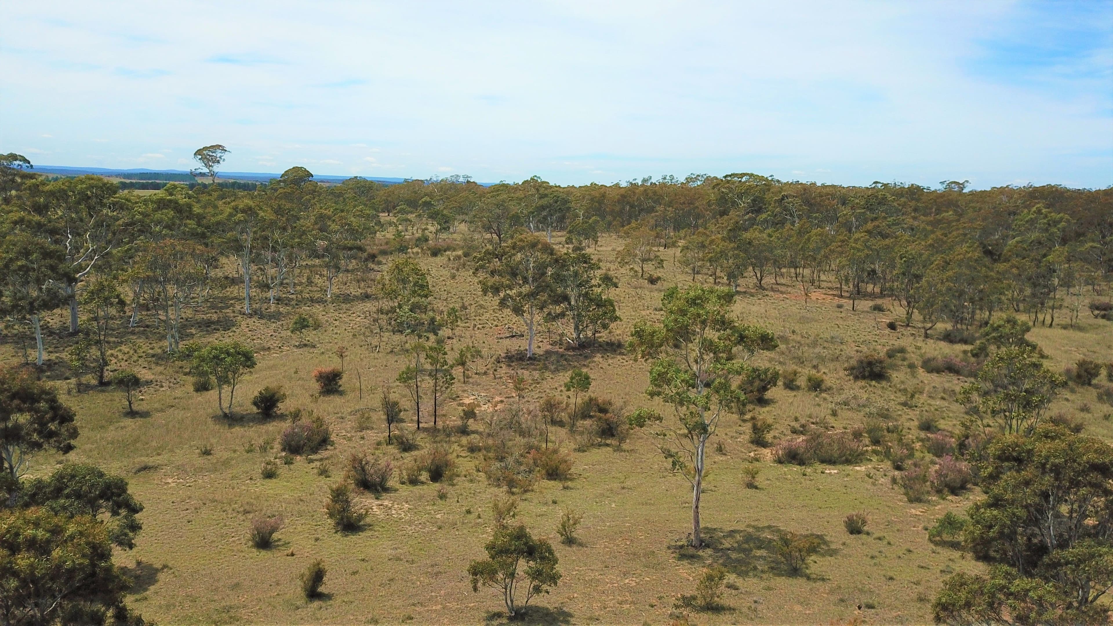 179 Masons and Owens Road, Goulburn NSW 2580, Goulburn - Thumbnail 7