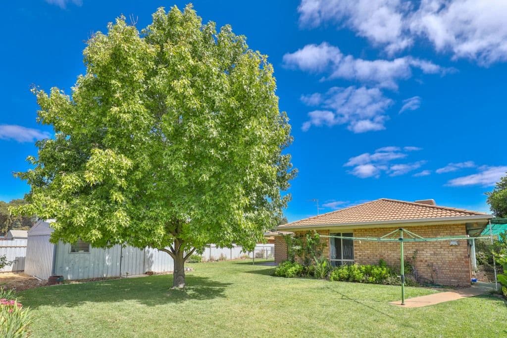 12 Semmens Crescent, Mildura VIC 3500, Mildura - Thumbnail 7