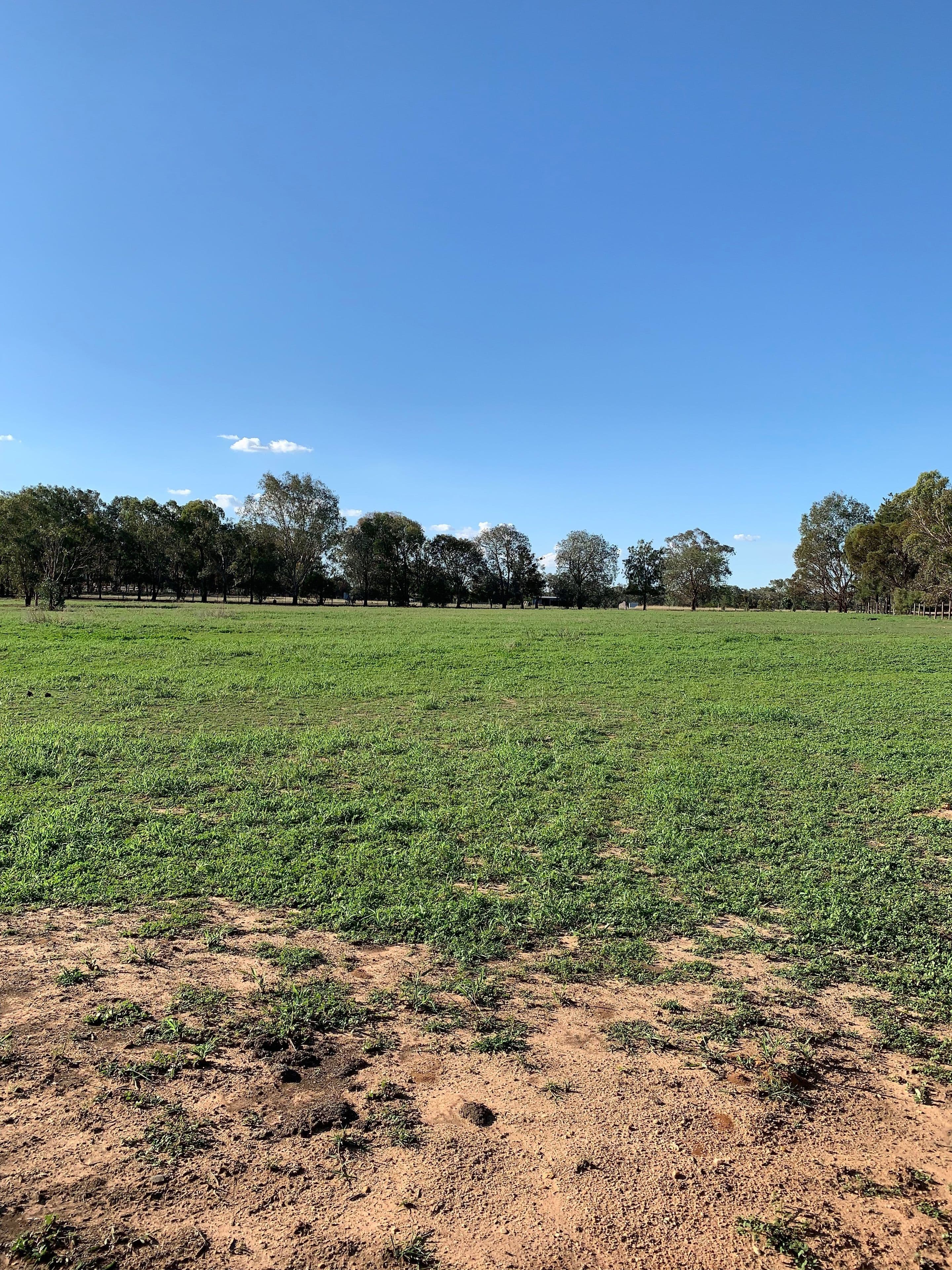 82A Thomas Street, Gerogery NSW 2642, Gerogery - Thumbnail 4