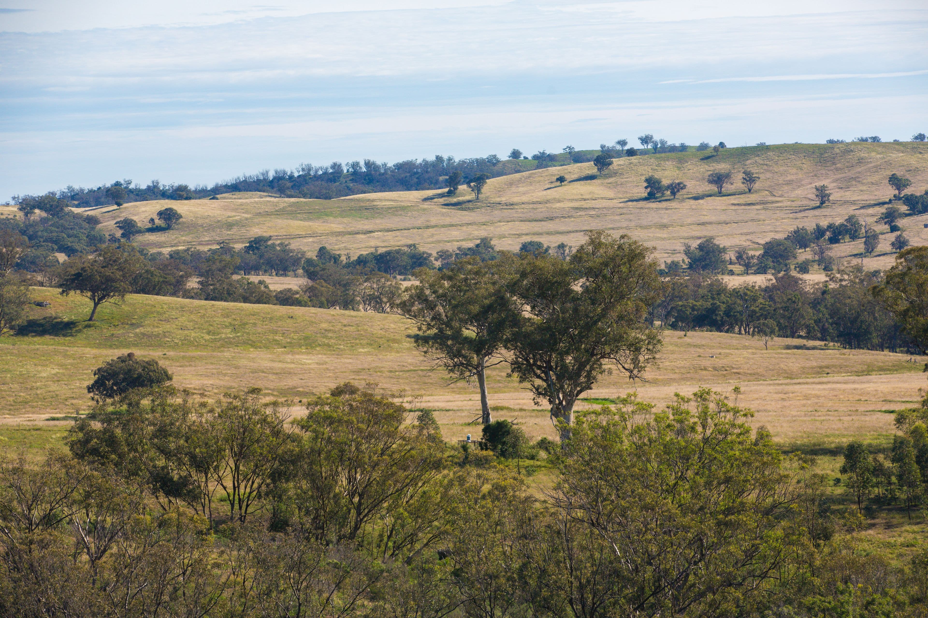 'Warrenella' Yarramanbully Road, Tamworth NSW 2340, Tamworth - Thumbnail 3