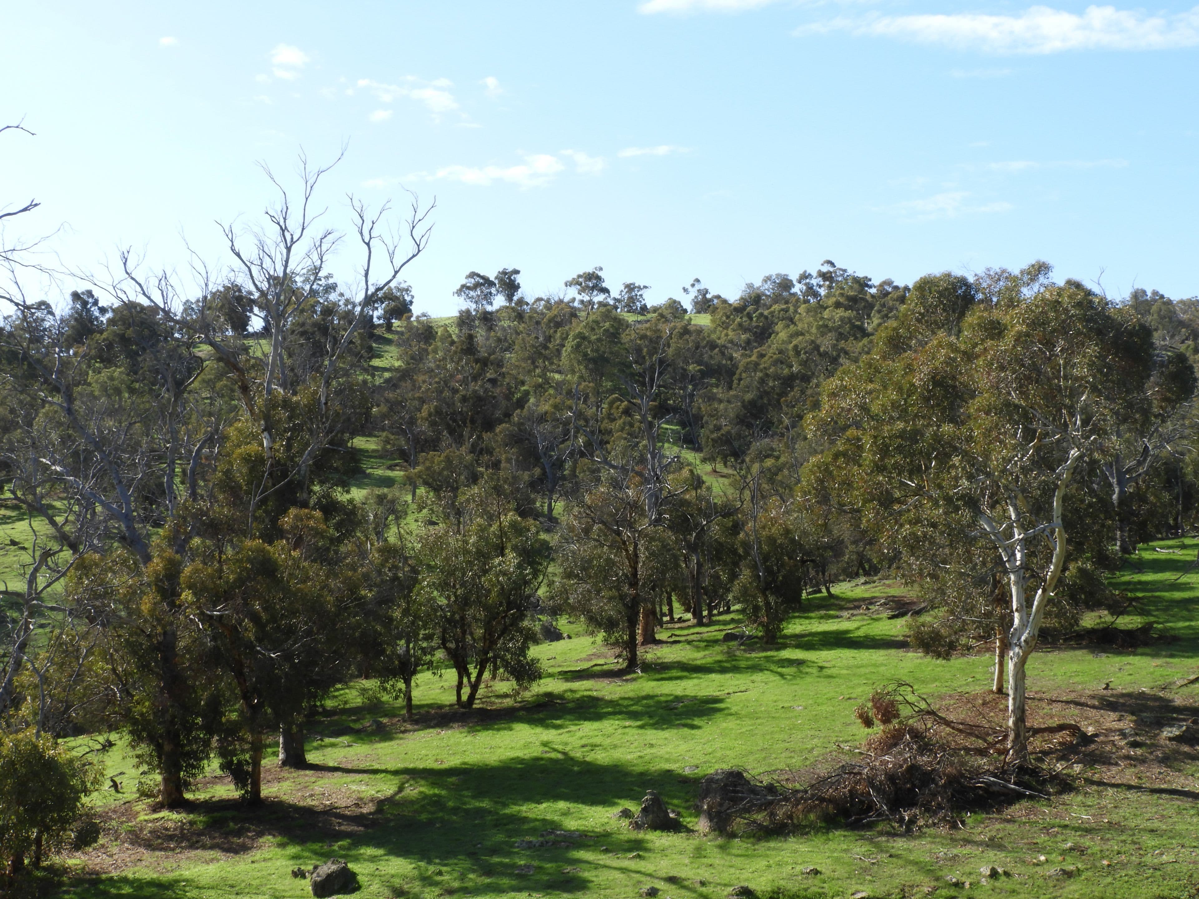 712 Davis Road, Chittering WA 6084, Chittering - Thumbnail 5
