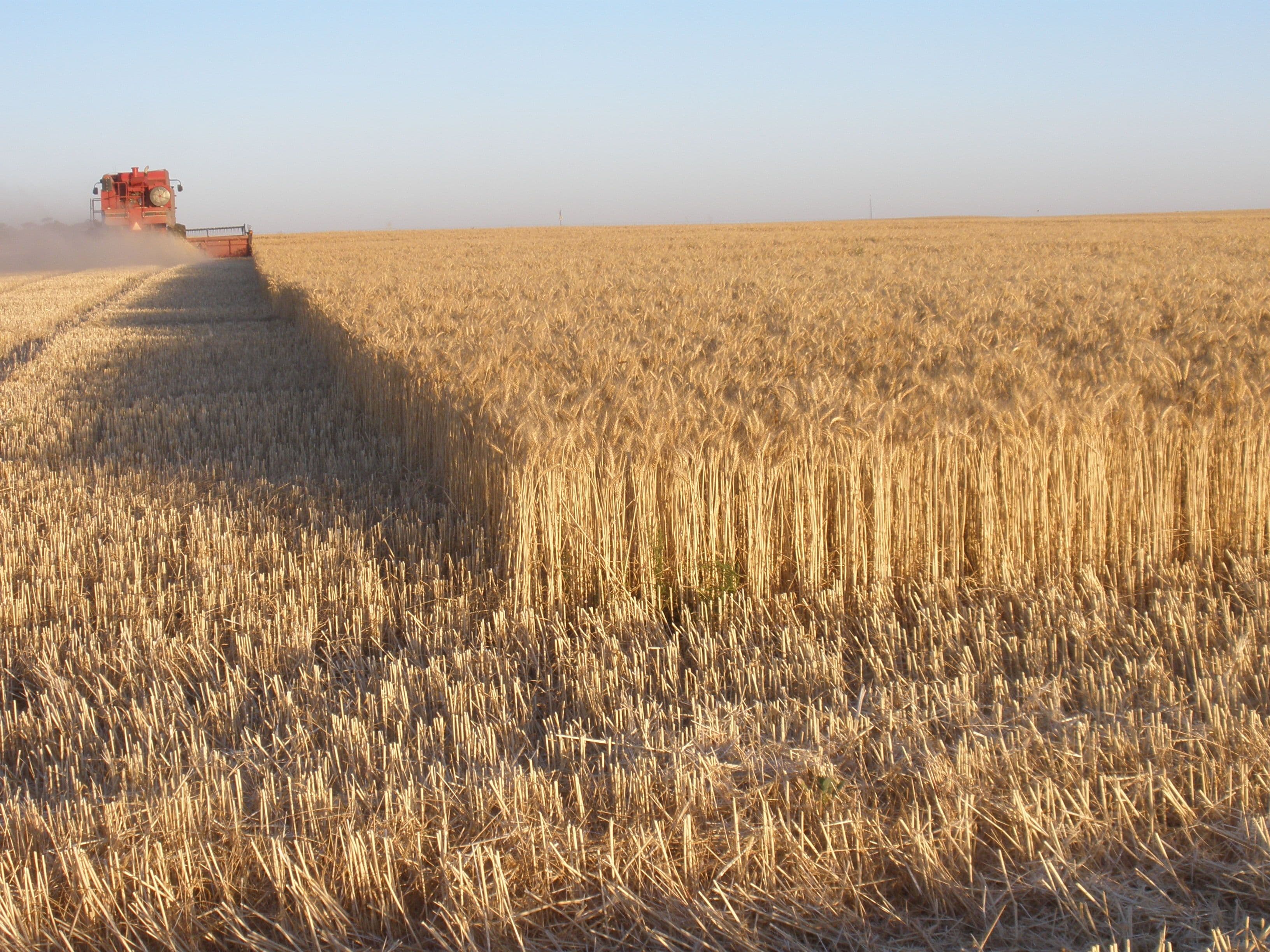 Secs 9 & 40 Kadina - Tickera Road, TICKERA SA 5555, Tickera - Thumbnail 2