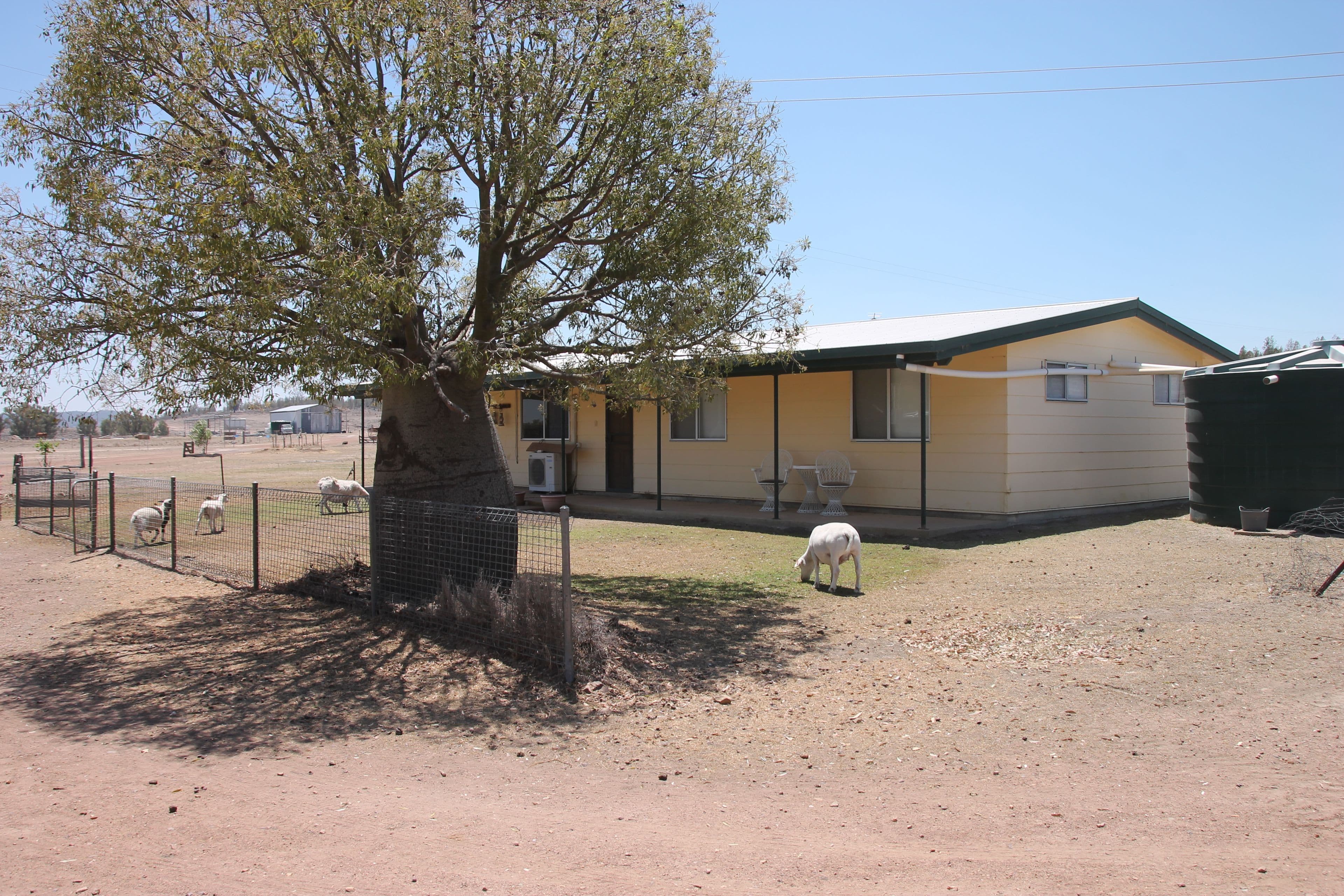 GREENUP QLD 4387, Greenup - Thumbnail 8