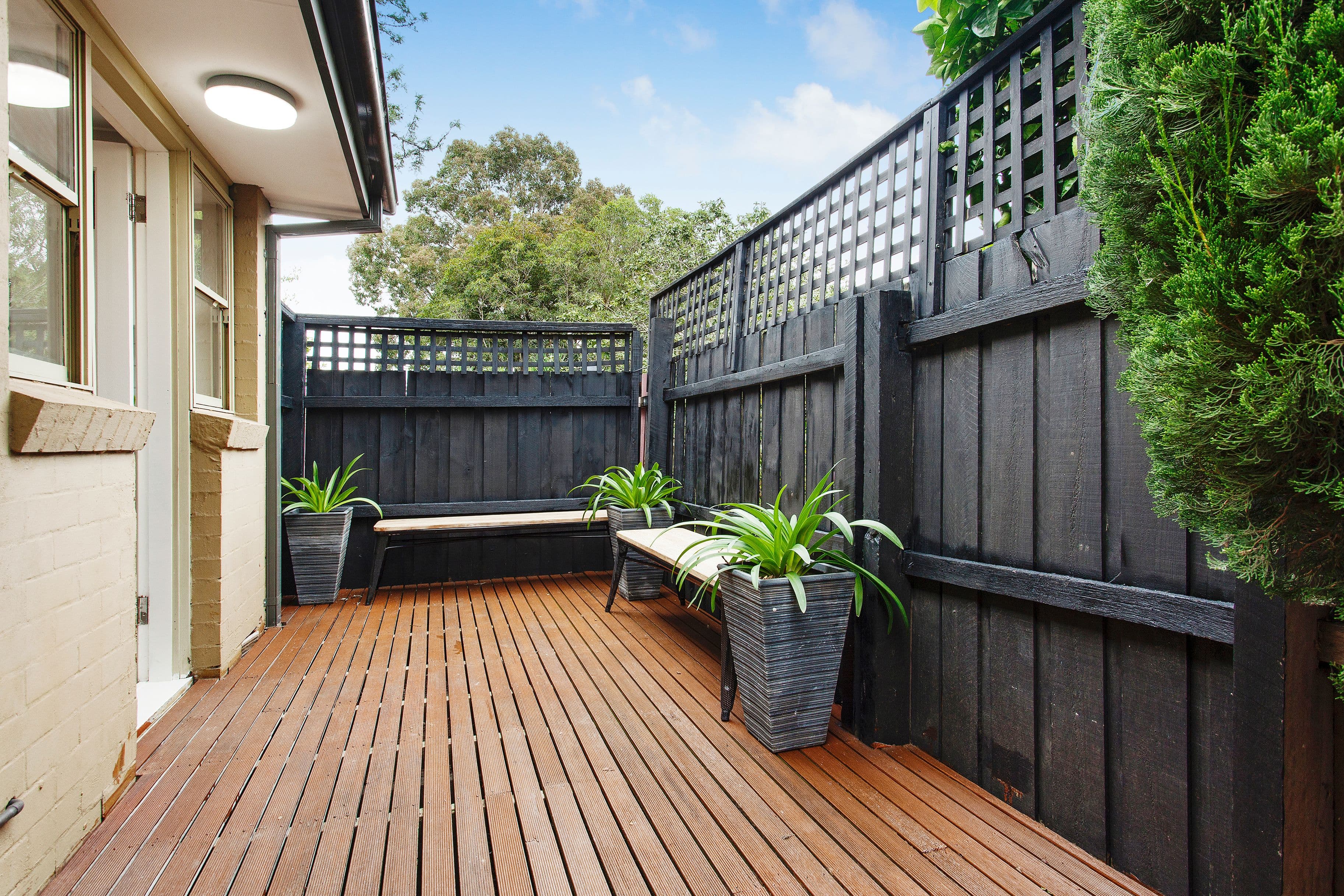 19 Alma Street, Malvern East VIC 3145, Malvern East - Thumbnail 7
