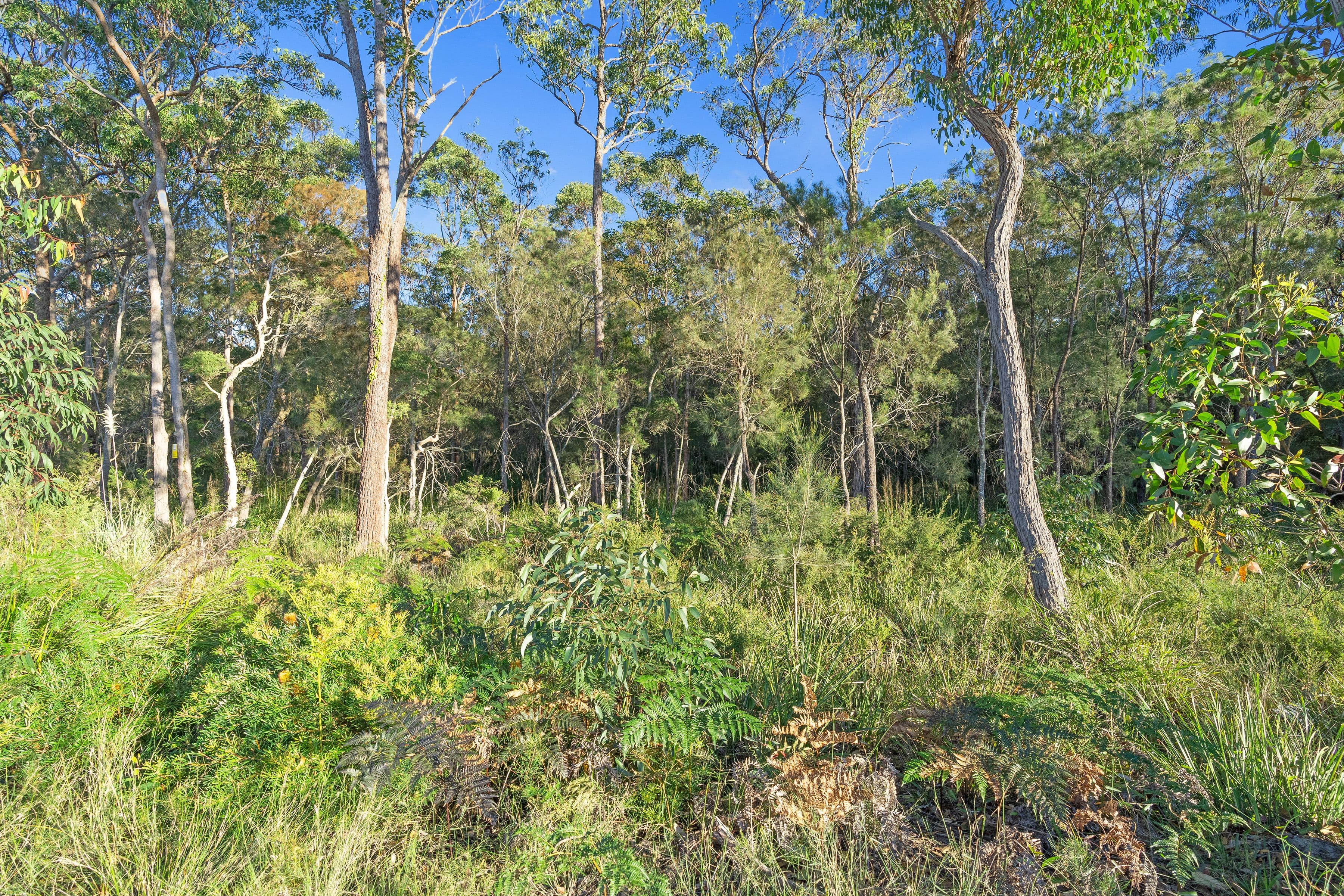 10 (Lot 5) Patonga Street, Morisset NSW 2264, Morisset - Thumbnail 5