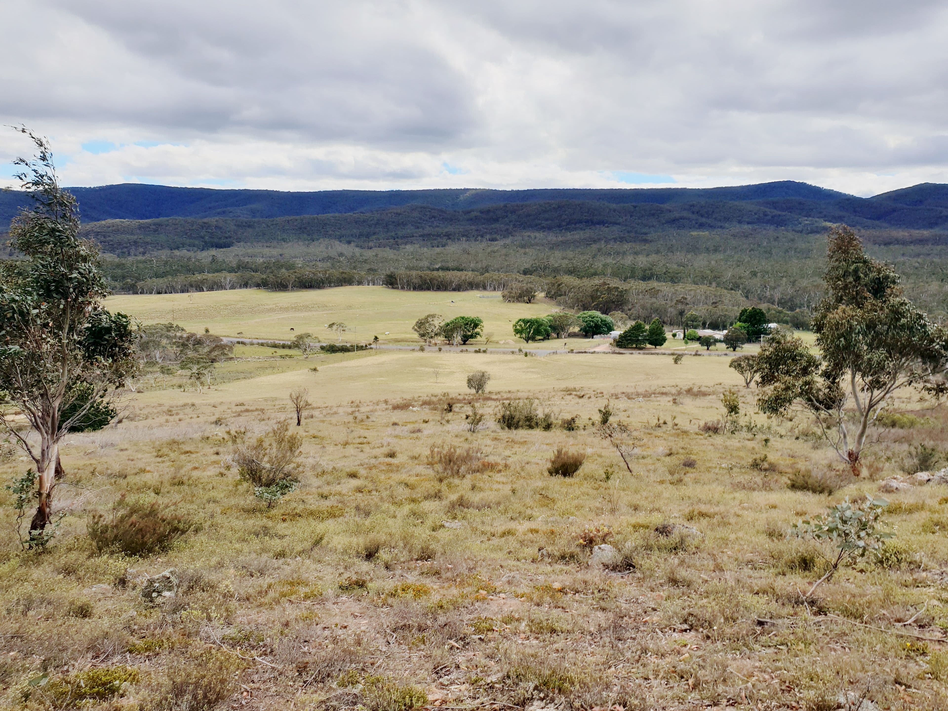 3364 Cooma Road, Braidwood NSW 2622, Braidwood - Thumbnail 4