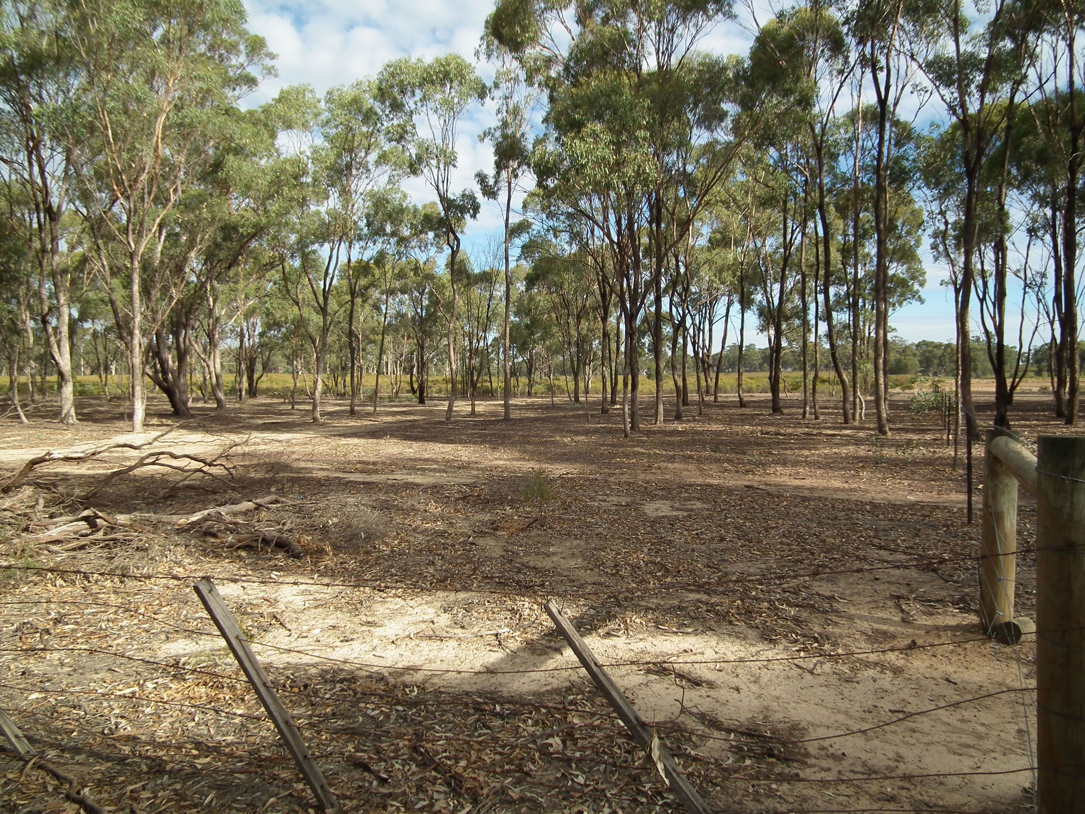 419 Buffalo Swamp Road, Whroo VIC 3612, Whroo - Thumbnail 5