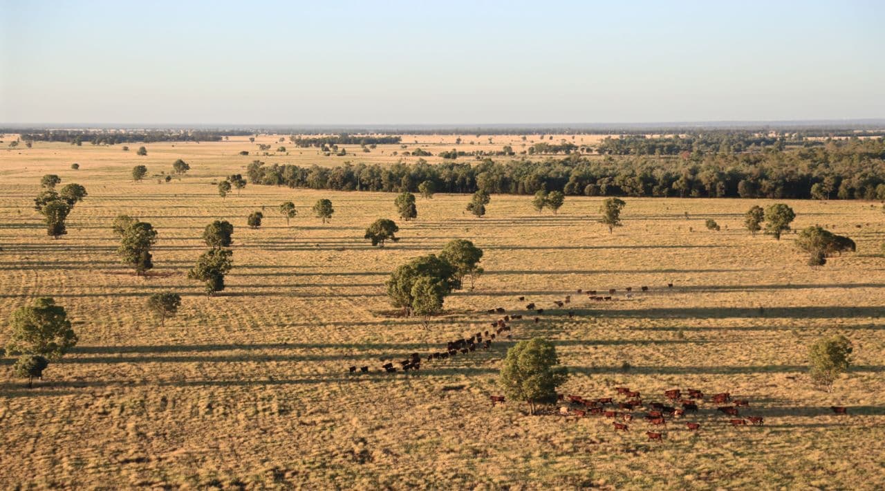 Condamine QLD 4416, Condamine - Thumbnail 5