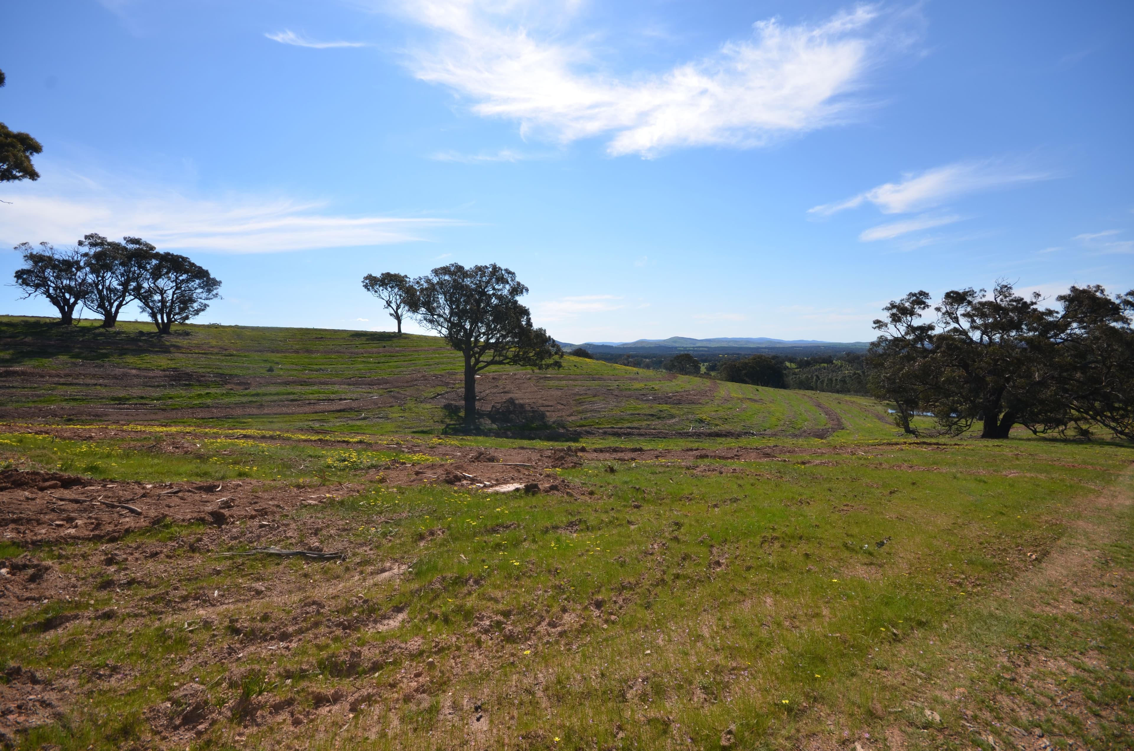 CA 5B and 6B Black Bottom Road, LEXTON VIC 3352, Lexton - Thumbnail 7