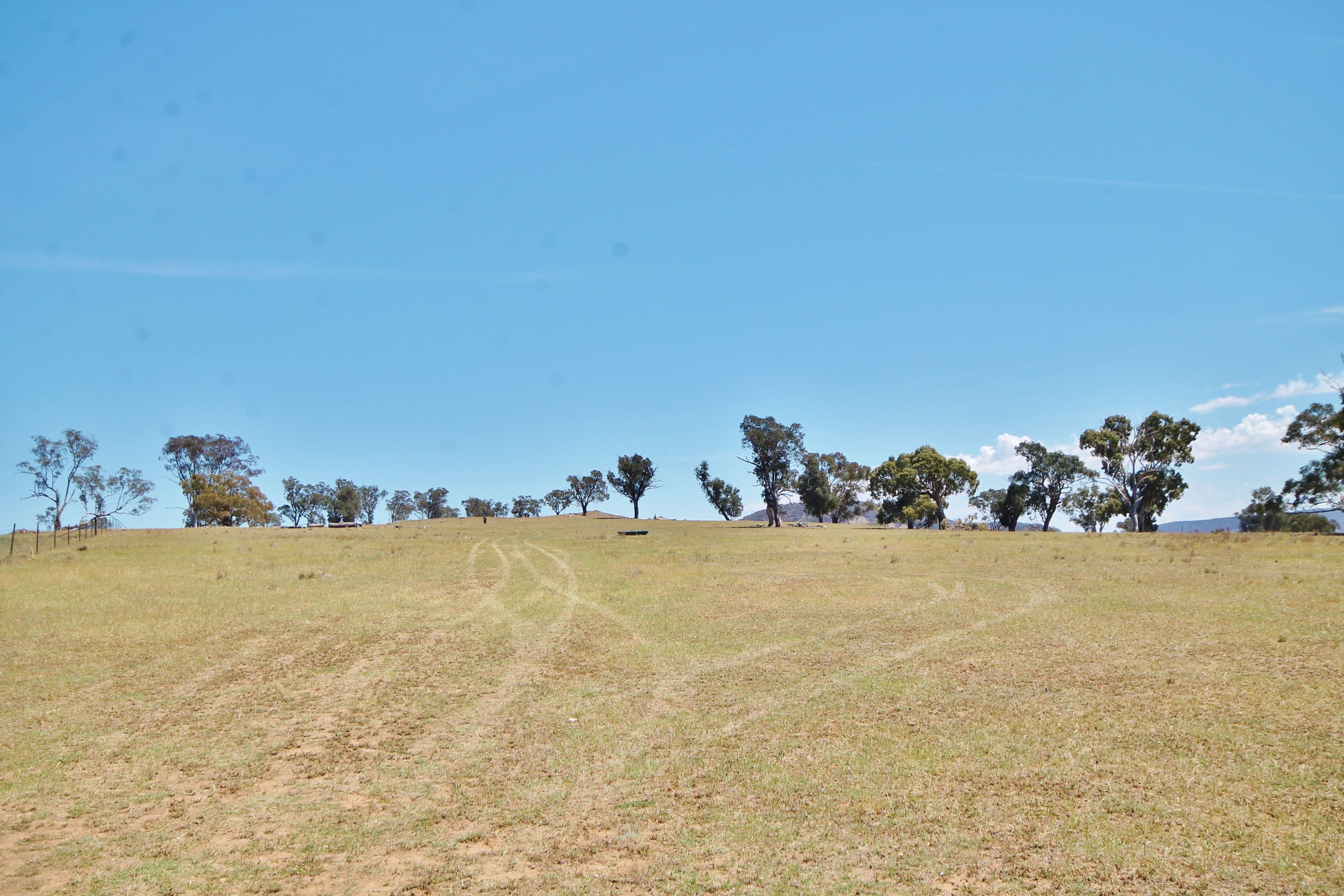 79 Dowling Drive Murringo via, Young NSW 2594, Young - Thumbnail 3