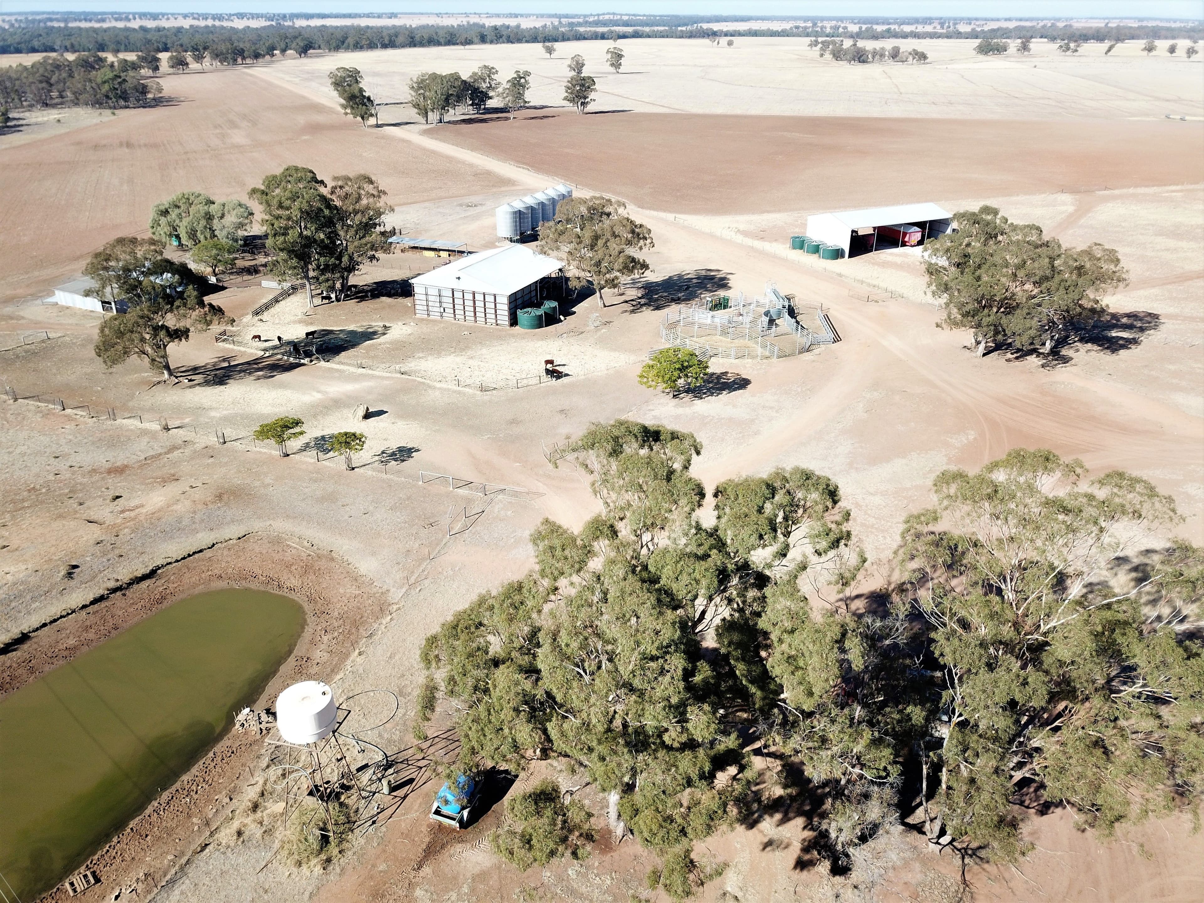 'Balgowan' Newell Highway, Dubbo NSW 2830, Dubbo - Thumbnail 2