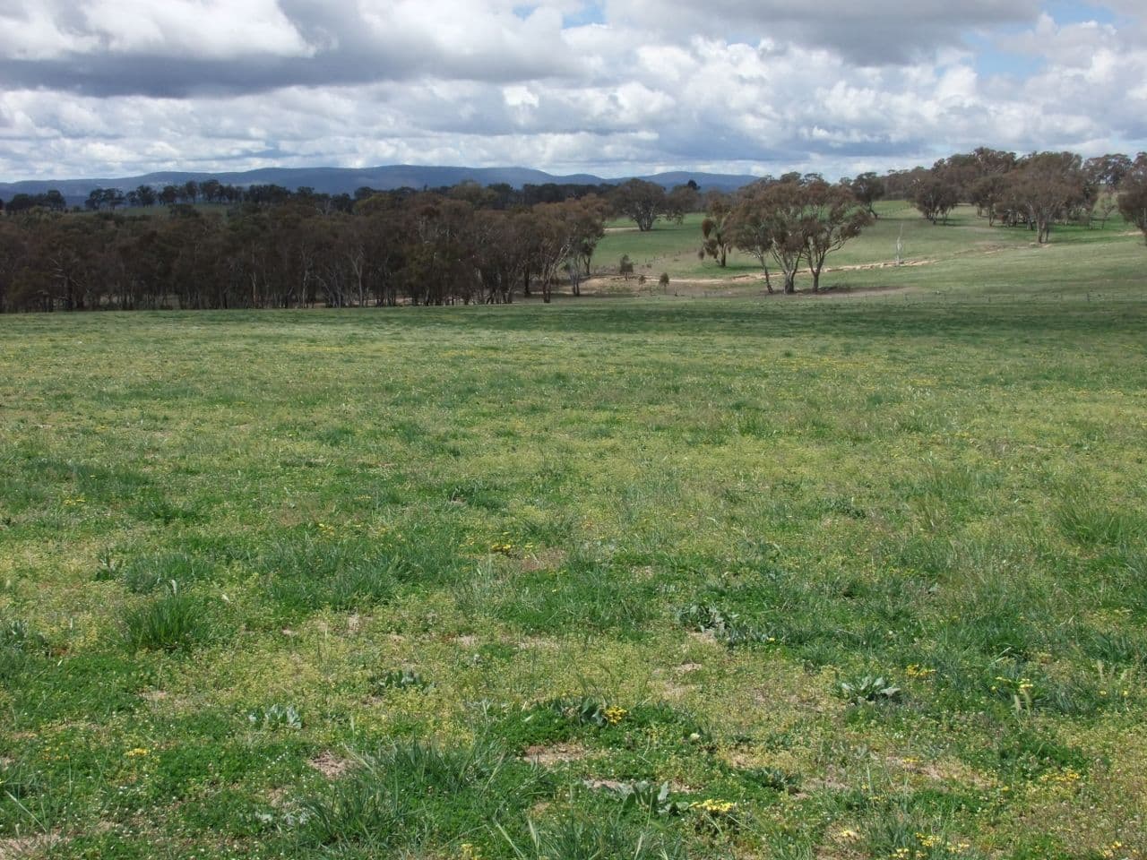 714 O'connell Plains Road, The Lagoon NSW 2795, The Lagoon - Thumbnail 6