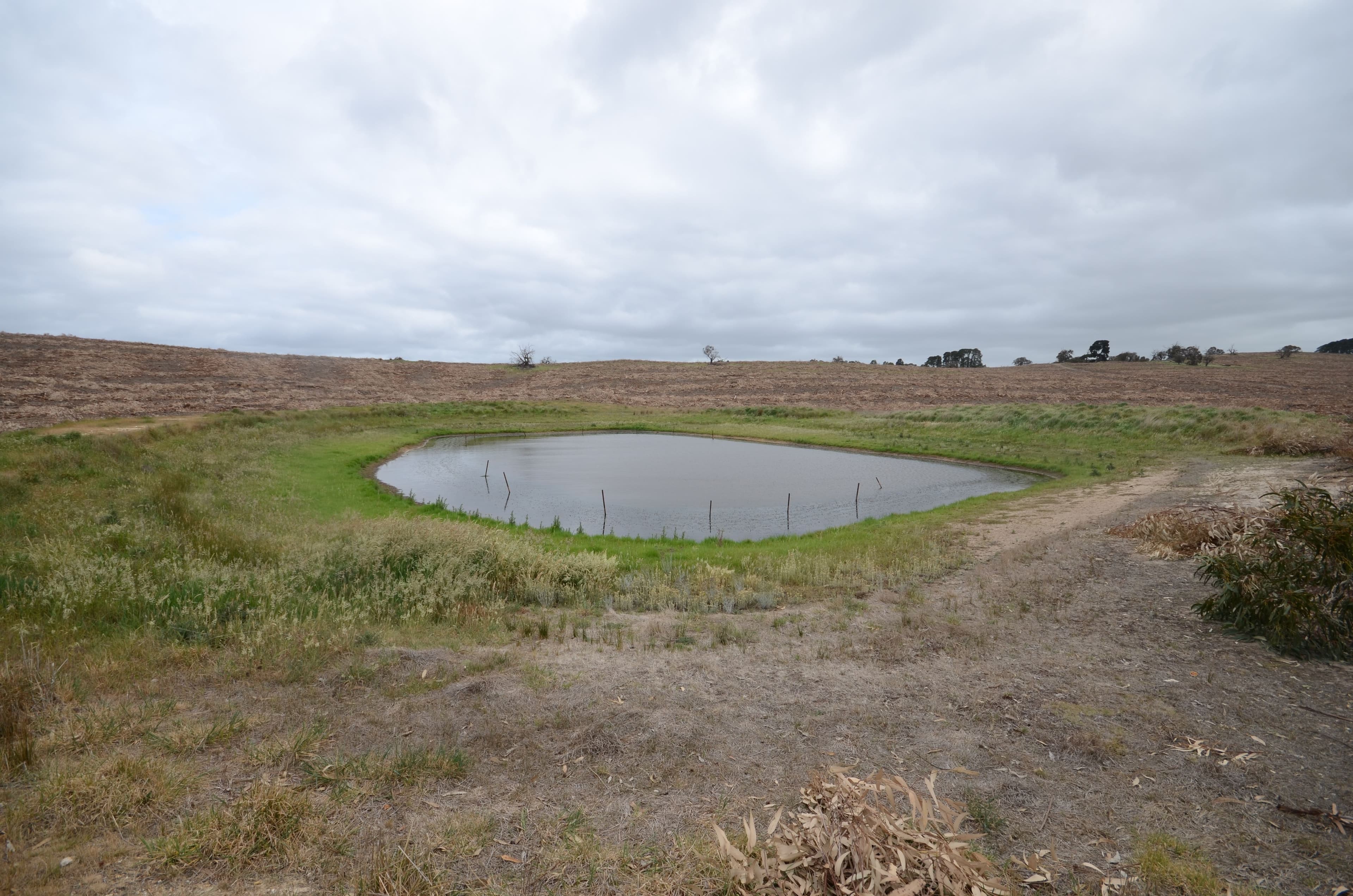 Lot 1 "Curlewis" Ellis Road, BEAUFORT VIC 3373, Beaufort - Thumbnail 5