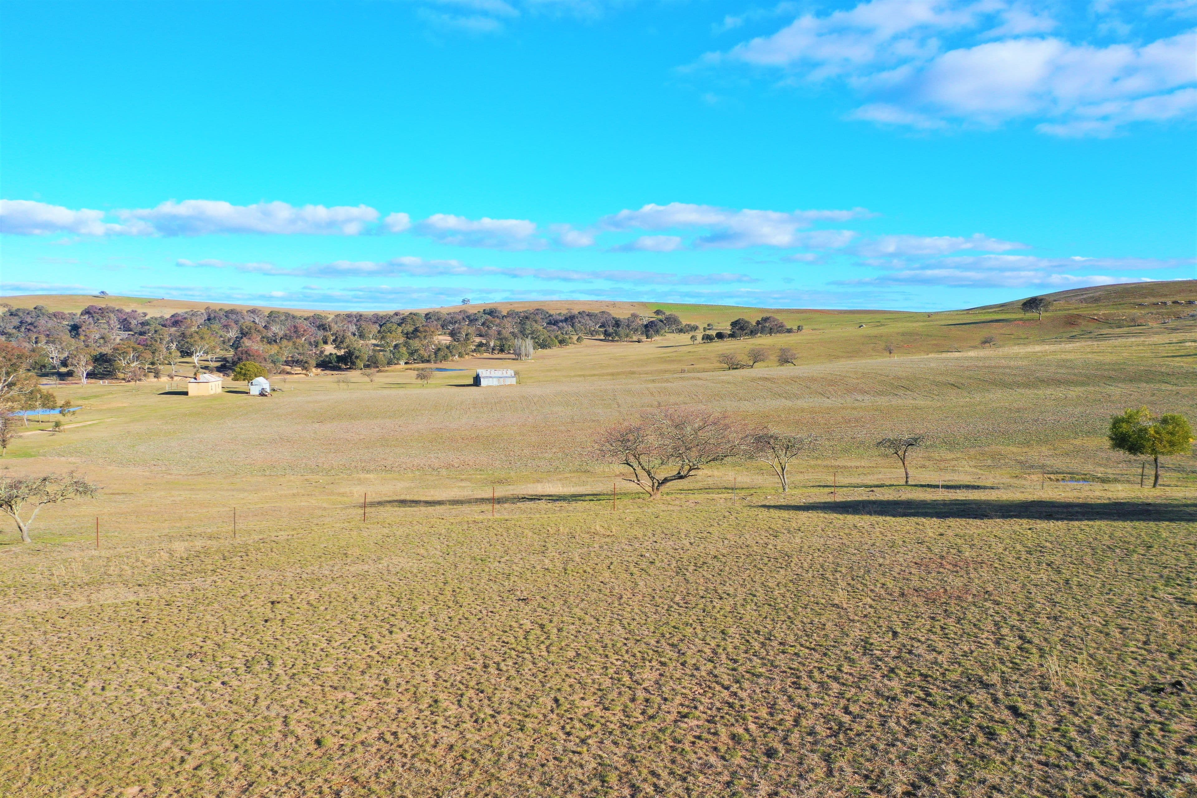 190 Pooleys Lane, Goulburn NSW 2580, Goulburn - Thumbnail 5