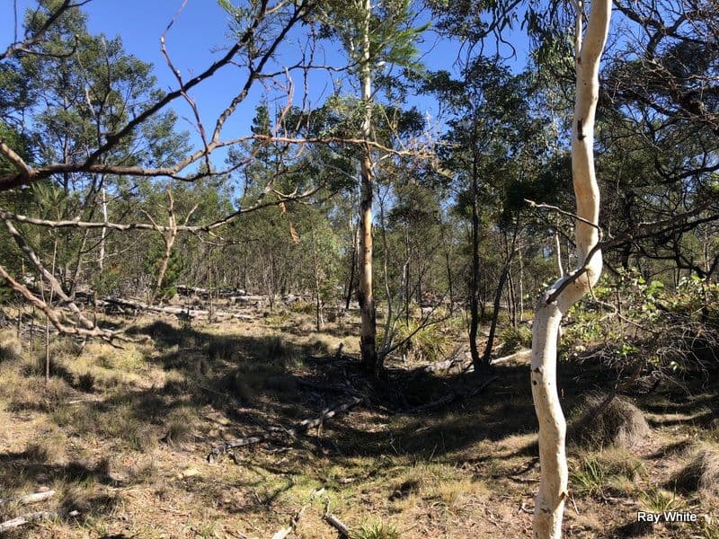 Lot 94 Back Creek Road, Braidwood NSW 2622, Braidwood - Thumbnail 8