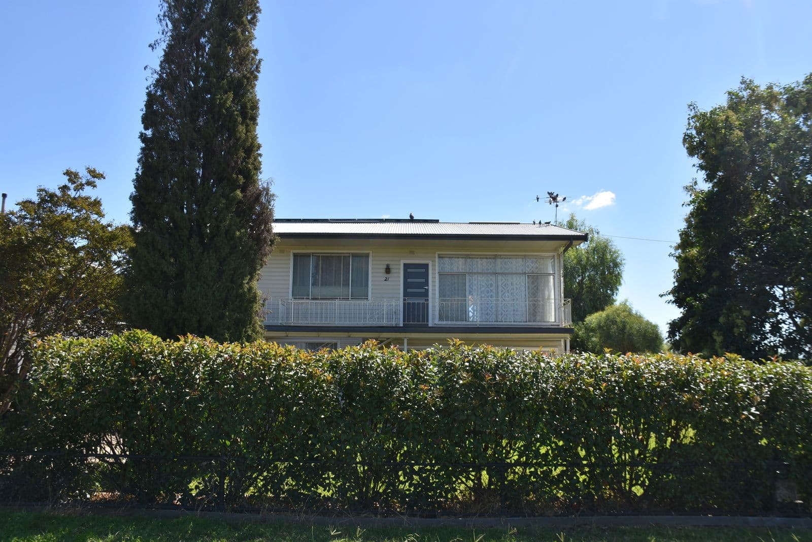 21 Boggabilla Road, Moree NSW 2400, Moree - Thumbnail 4
