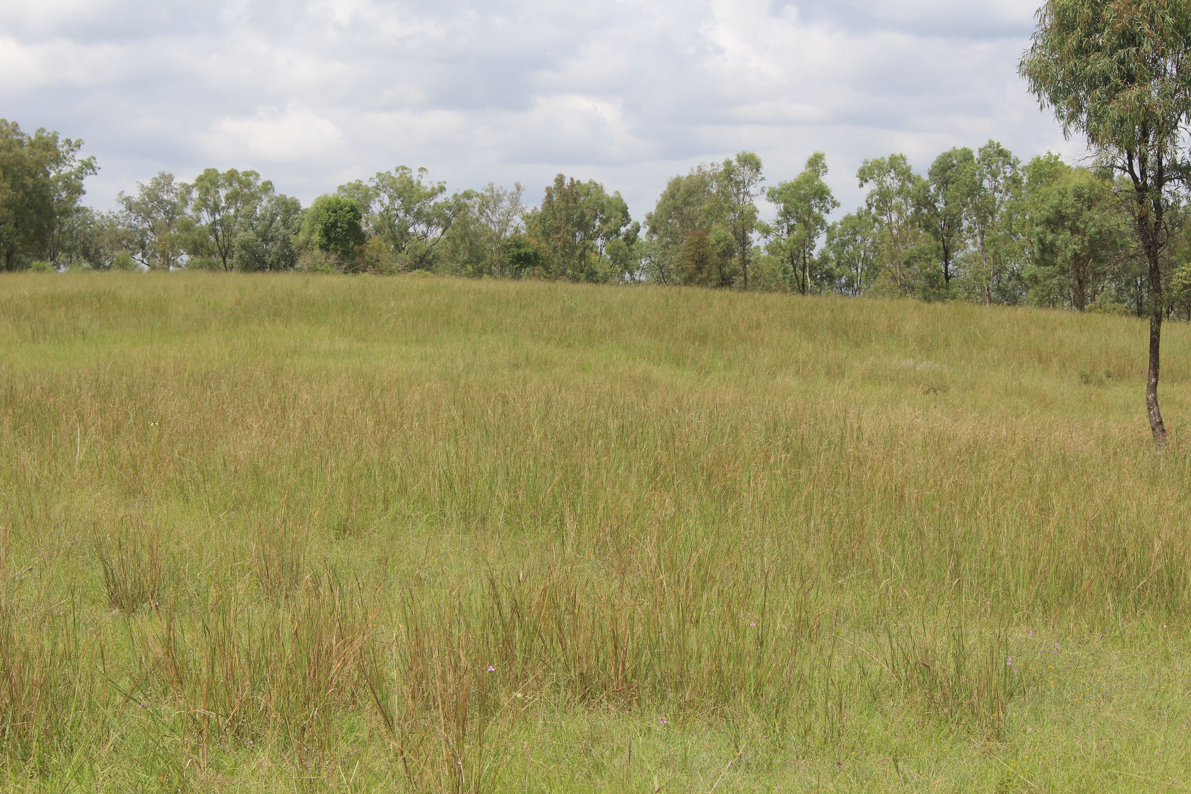 Lot 5 Old Esk North Road, South East Nanango QLD 4615, South East Nanango - Thumbnail 8