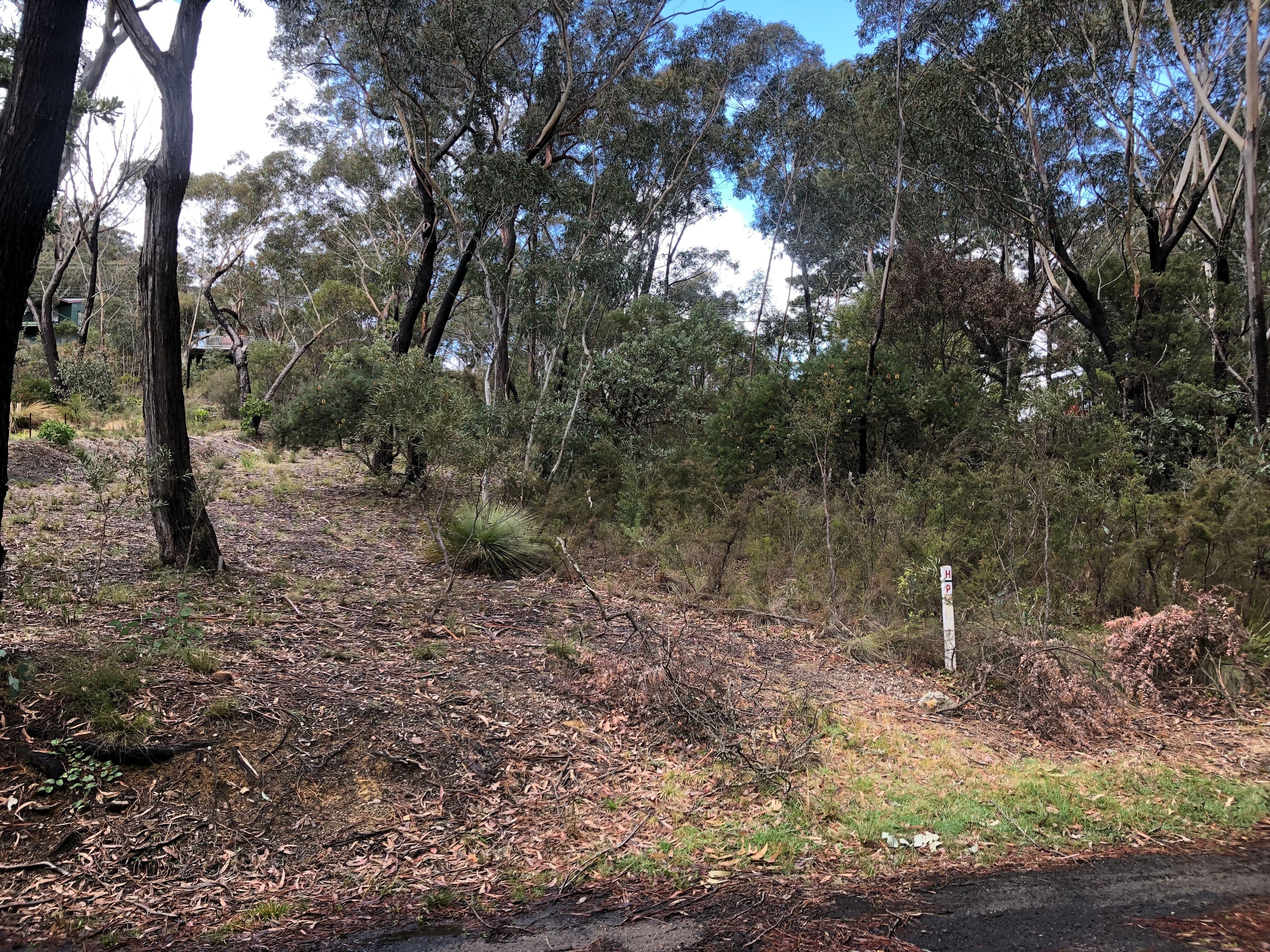 25 Innes Road, Mount Victoria NSW 2786, Mount Victoria - Thumbnail 6