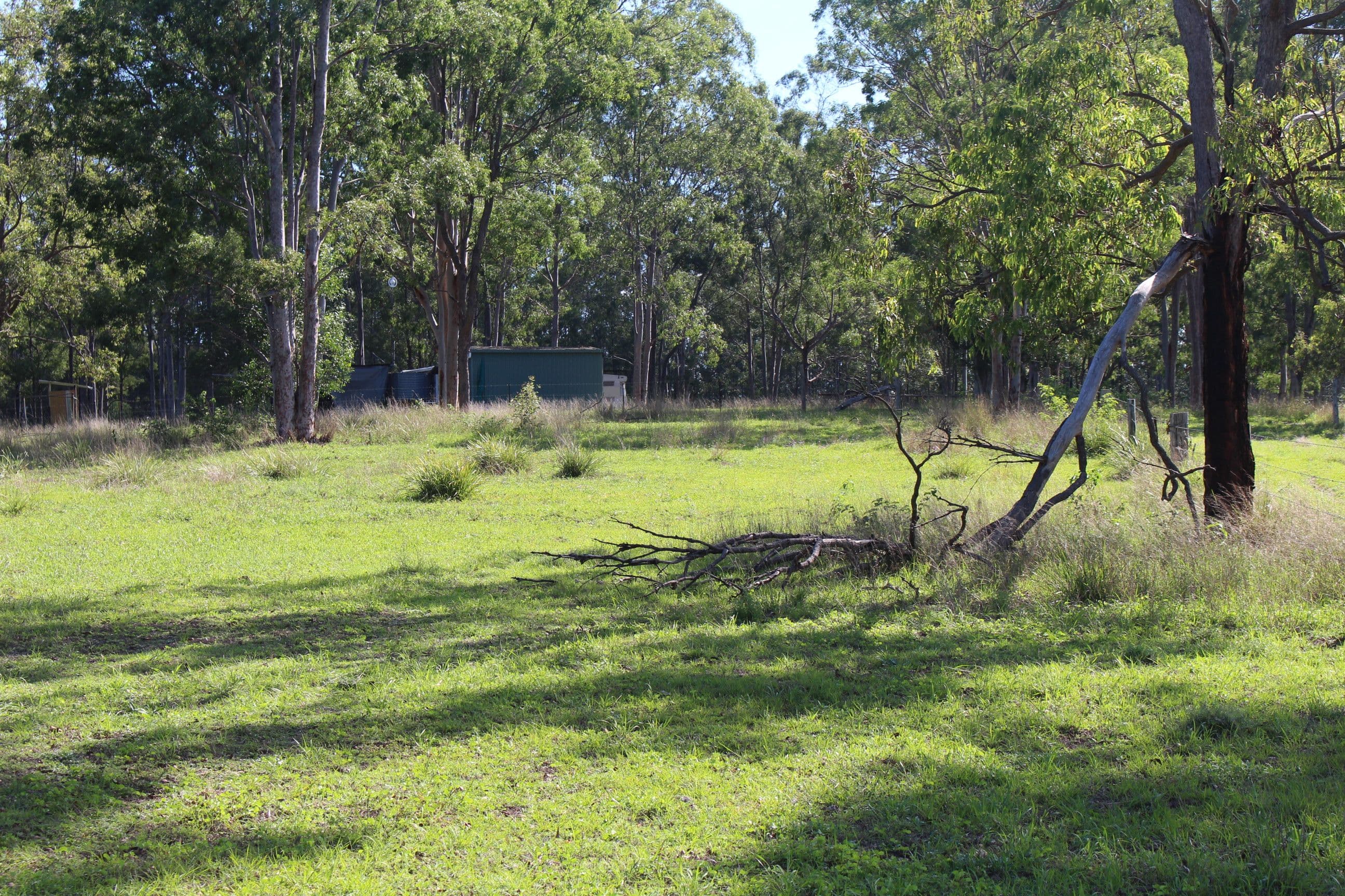 677 Goomeri West, Goomeri QLD 4601, Goomeri - Thumbnail 3