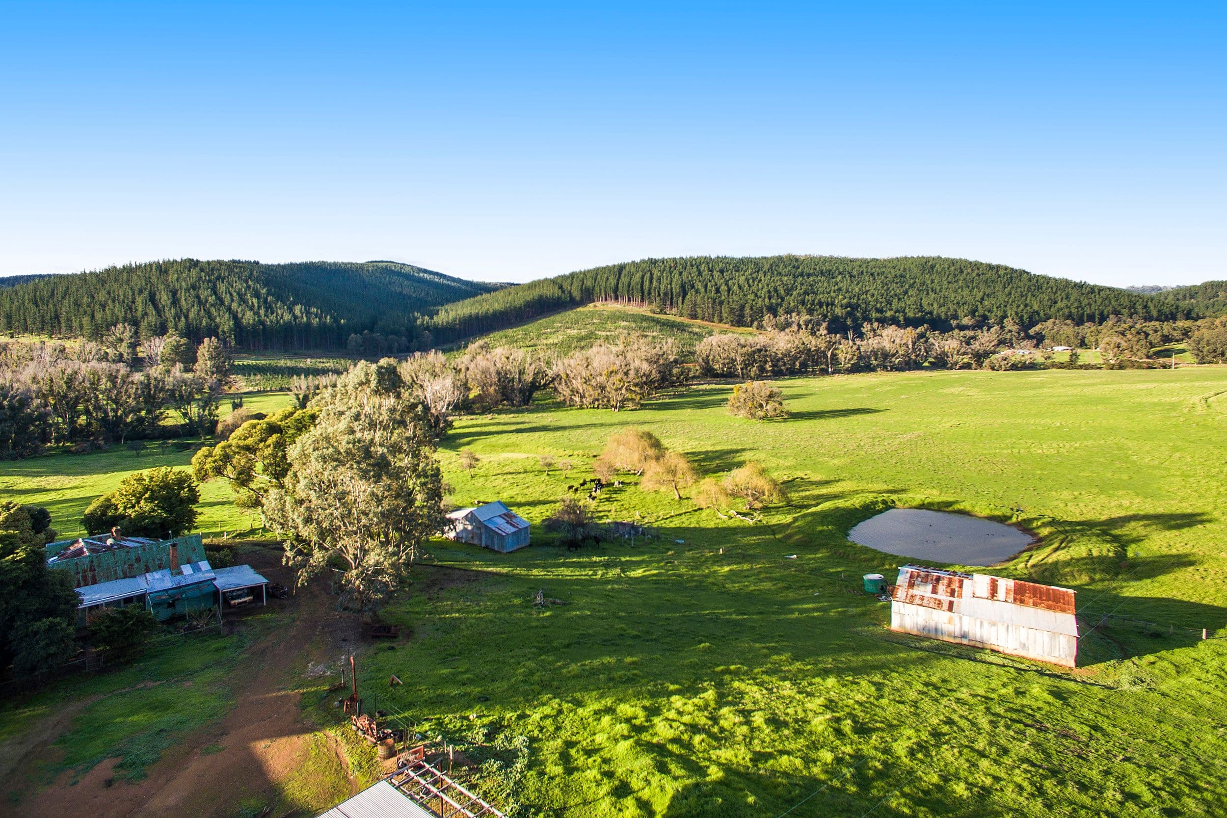 Nannup WA 6275, Nannup - Image 1