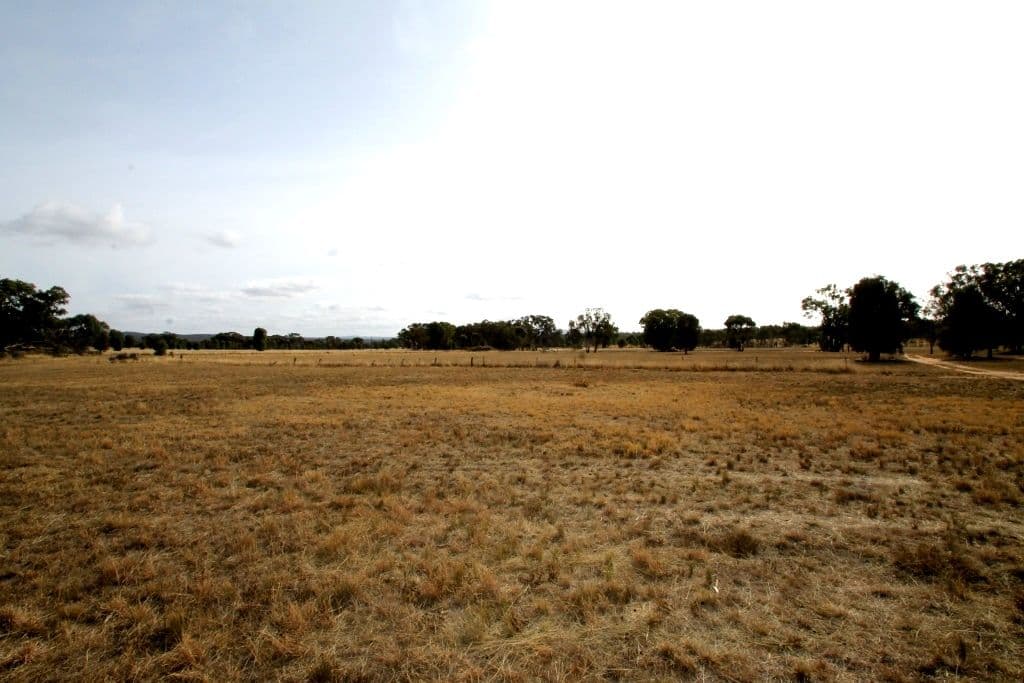 166 Werribee Road, Premer NSW 2381, Premer - Thumbnail 4
