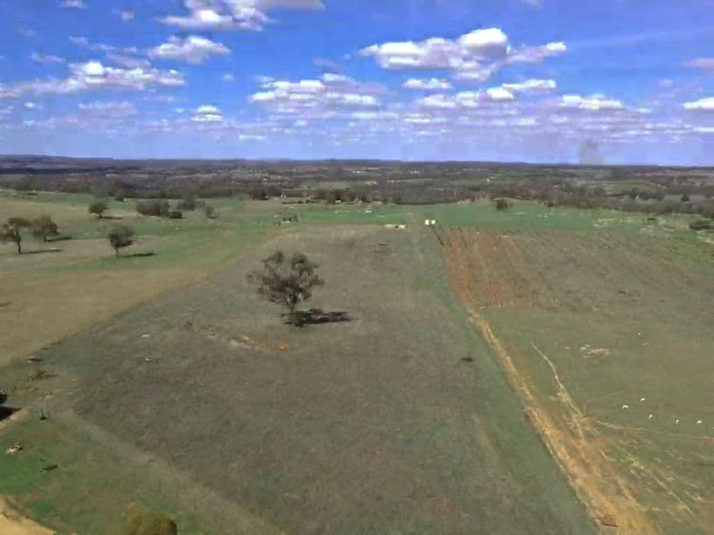 603 Spring Creek Road, Young NSW 2594, Young - Thumbnail 5