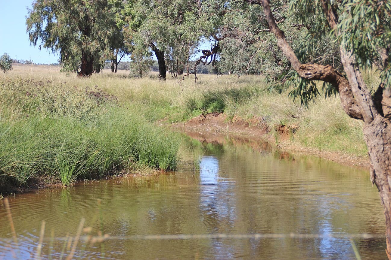 Coonabarabran NSW 2357, Coonabarabran - Thumbnail 3