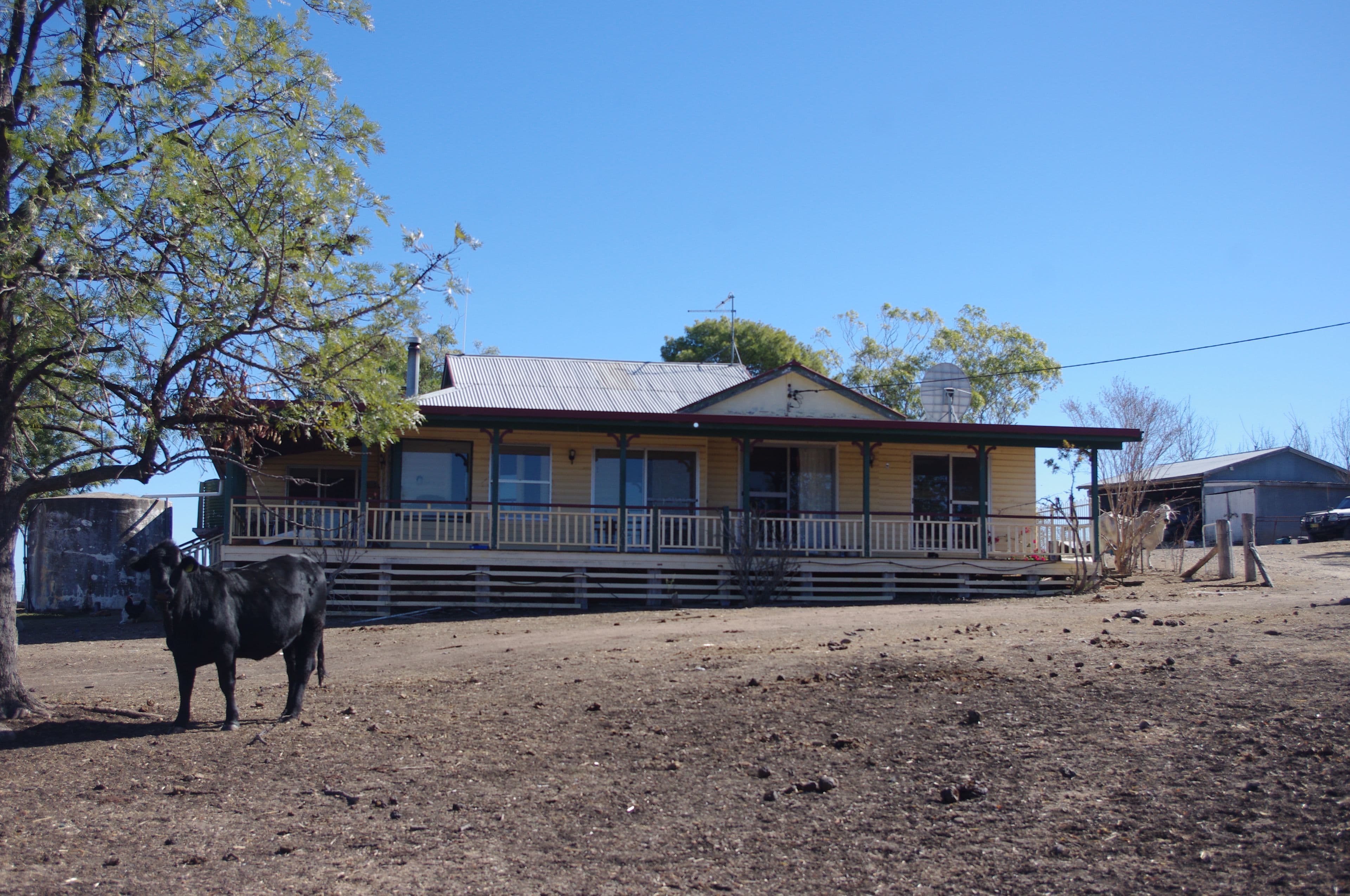 Inverell NSW 2360, Inverell - Thumbnail 3