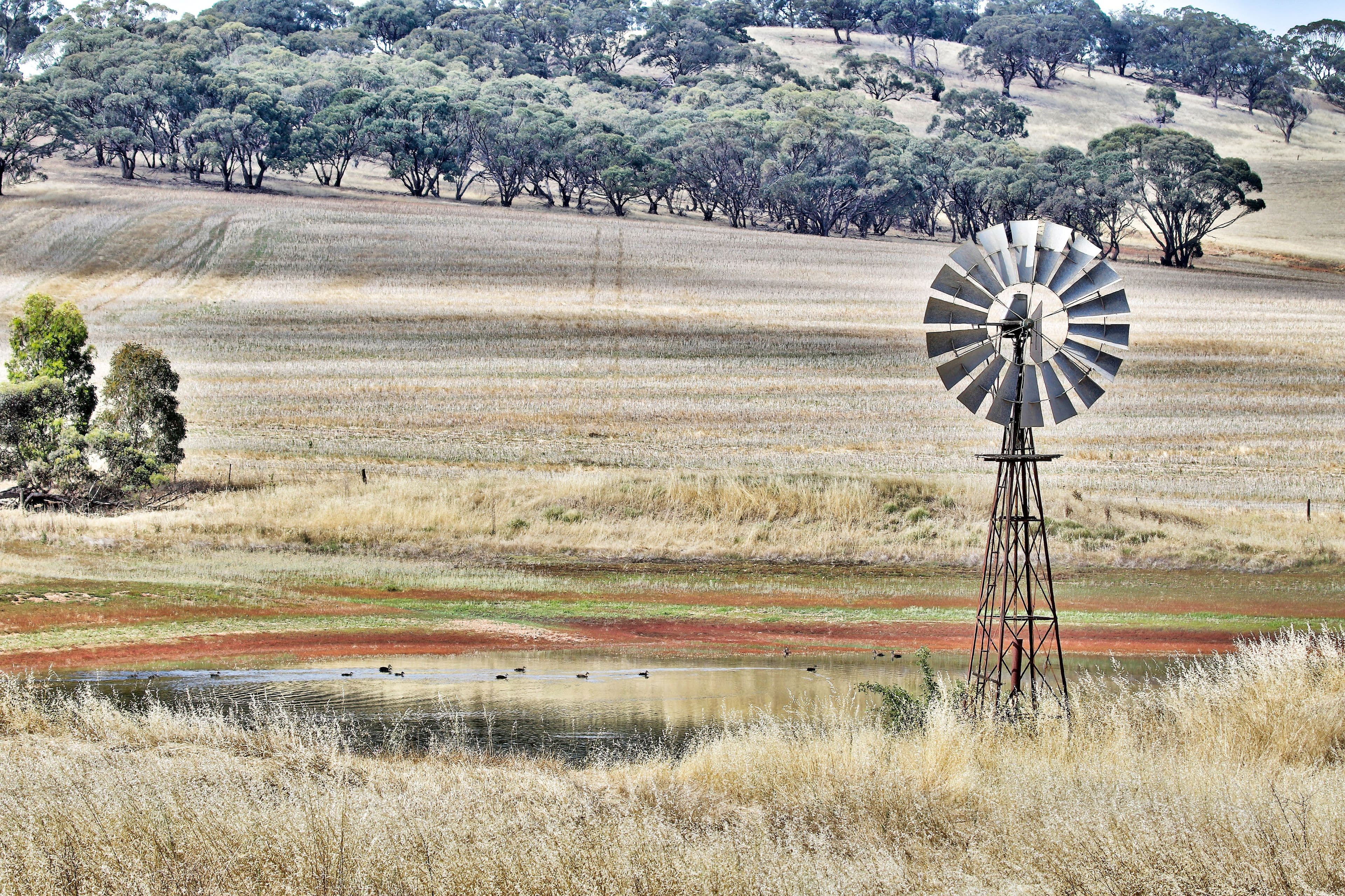 "Cloverhills" Brothers Hill Road, MANOORA SA 5414, Manoora - Thumbnail 4