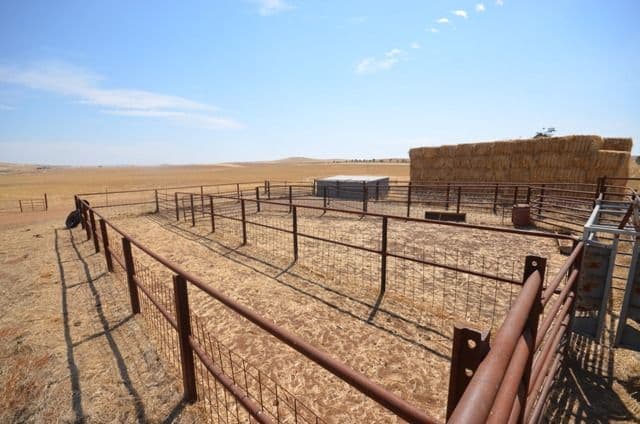 2 Lots RM Williams Highway, Andrews SA 5454, Andrews - Thumbnail 5
