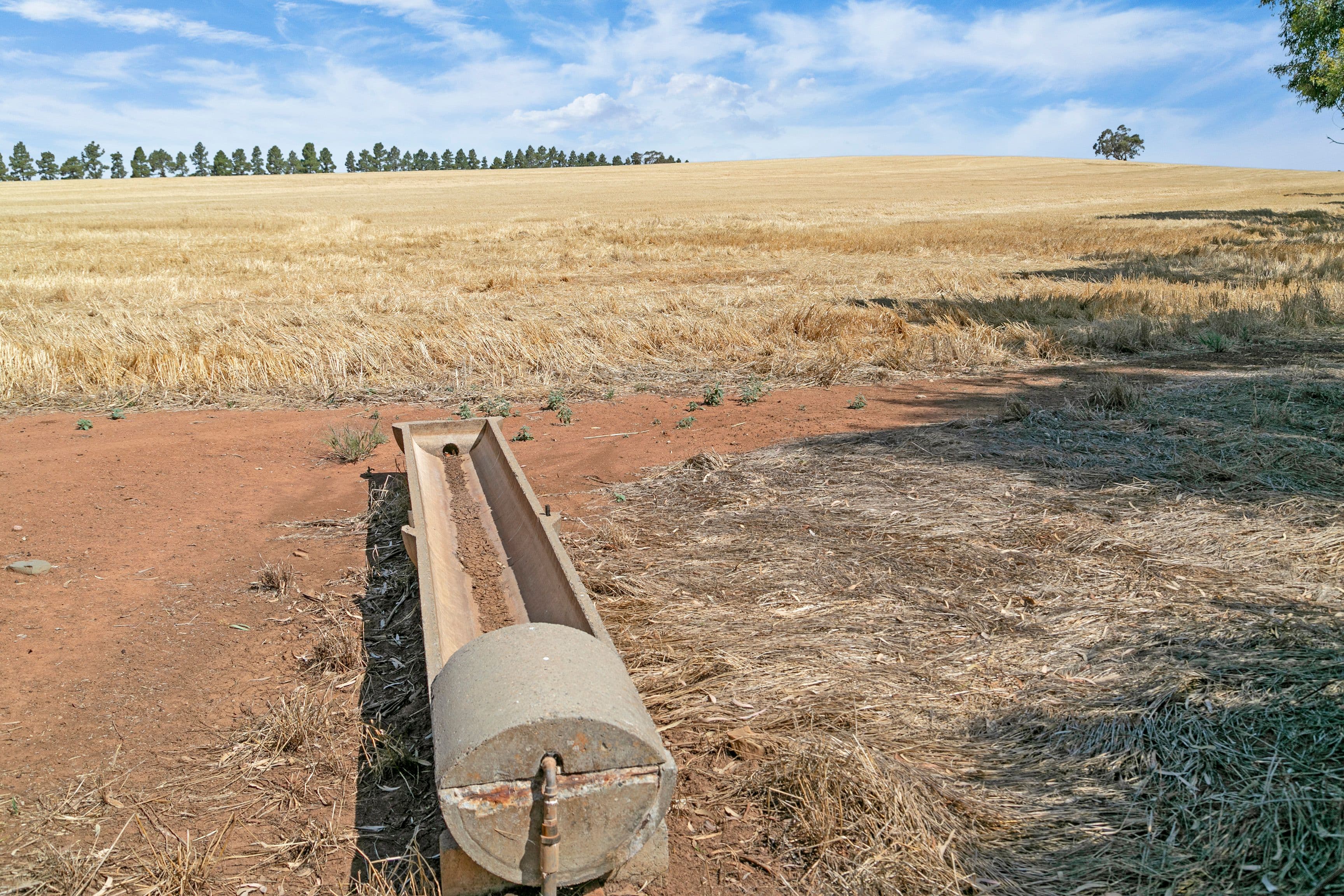 'Kemps Riverton' Messiter-Cole Road, Riverton SA 5412, Riverton - Thumbnail 5