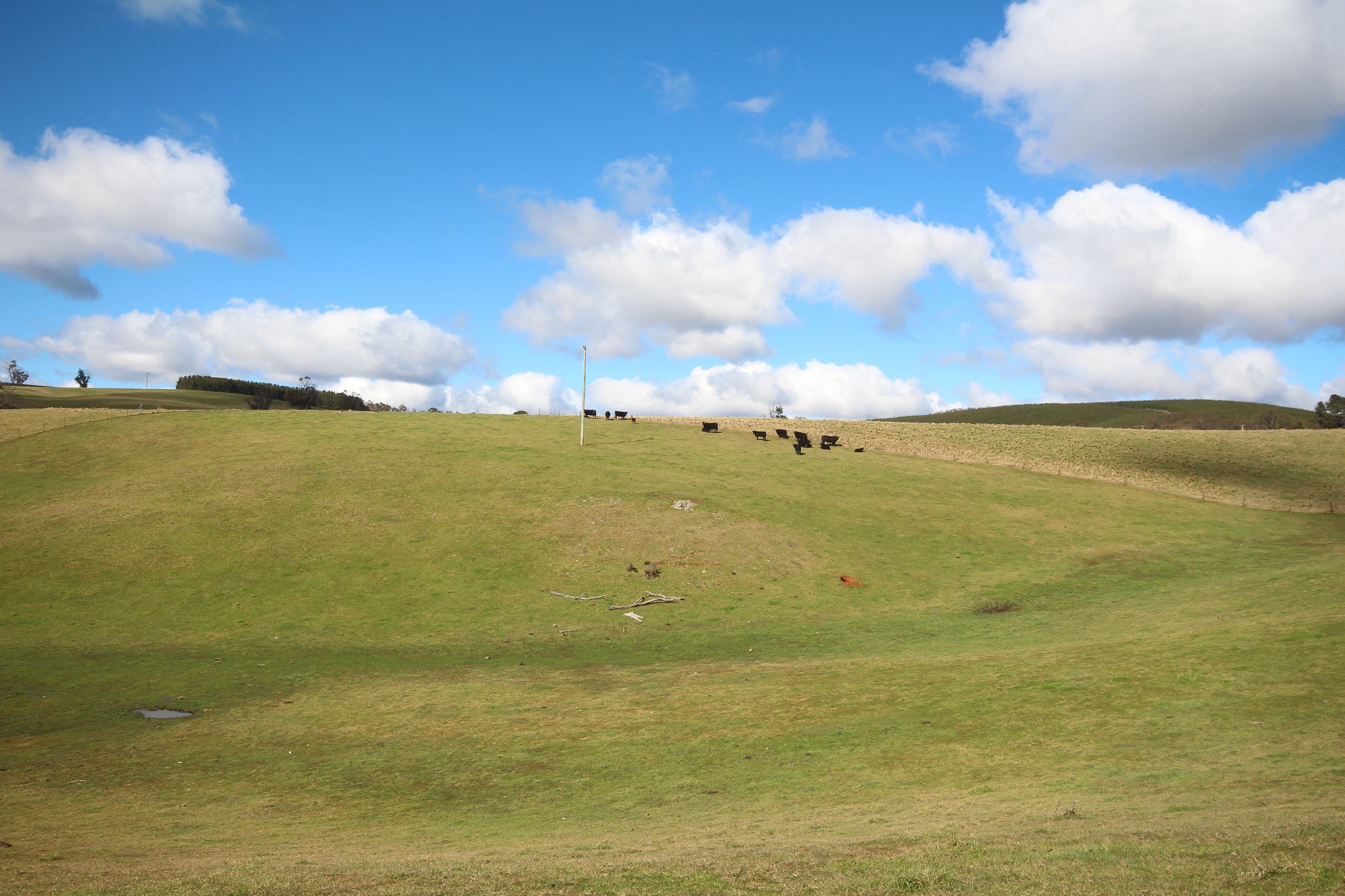 607 Jaunter Road, Oberon NSW 2787, Oberon - Thumbnail 7