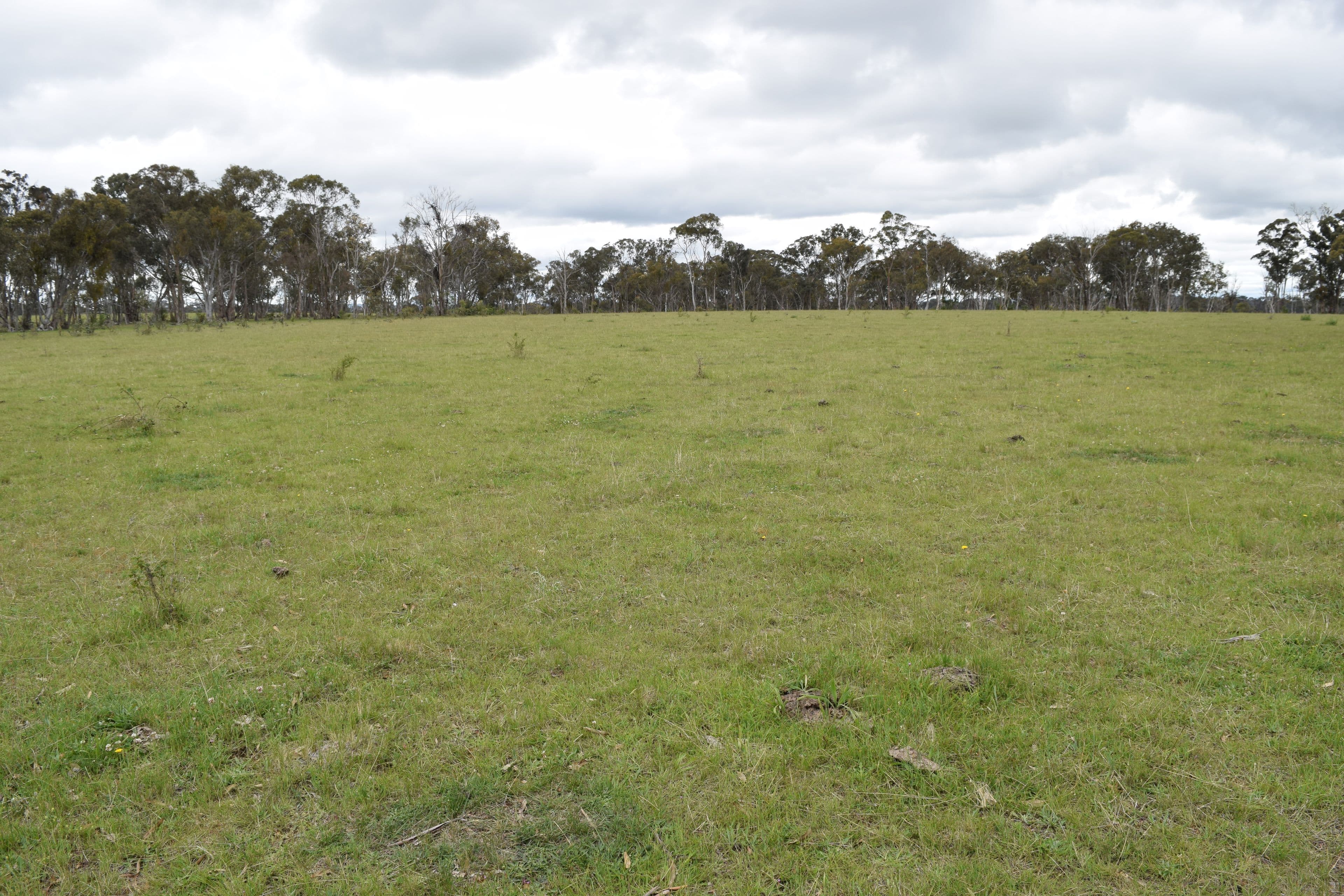 460 Donald Road, Armidale NSW 2350, Armidale - Thumbnail 2