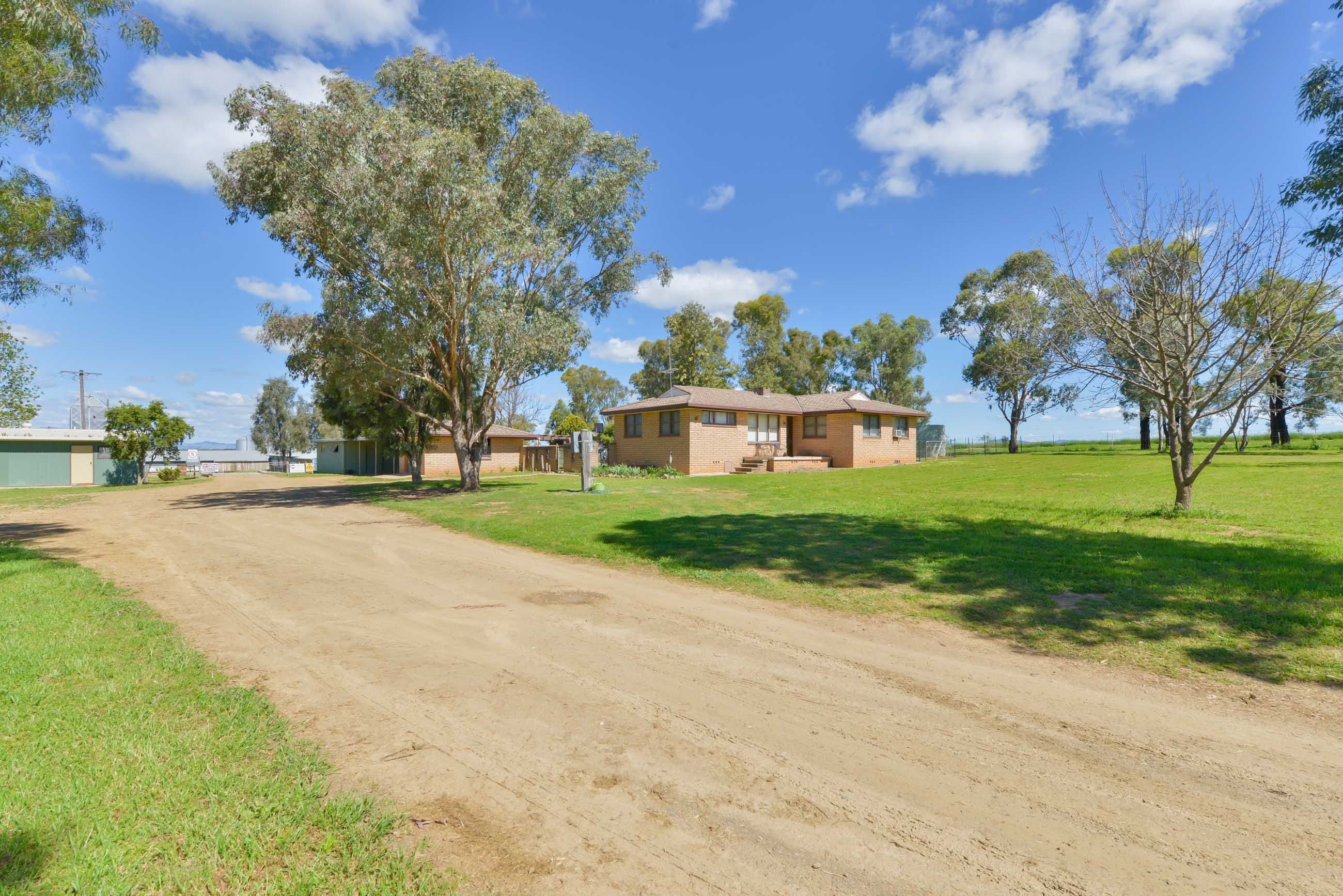 126 Byamee Lane, Tamworth NSW 2340, Tamworth - Thumbnail 8