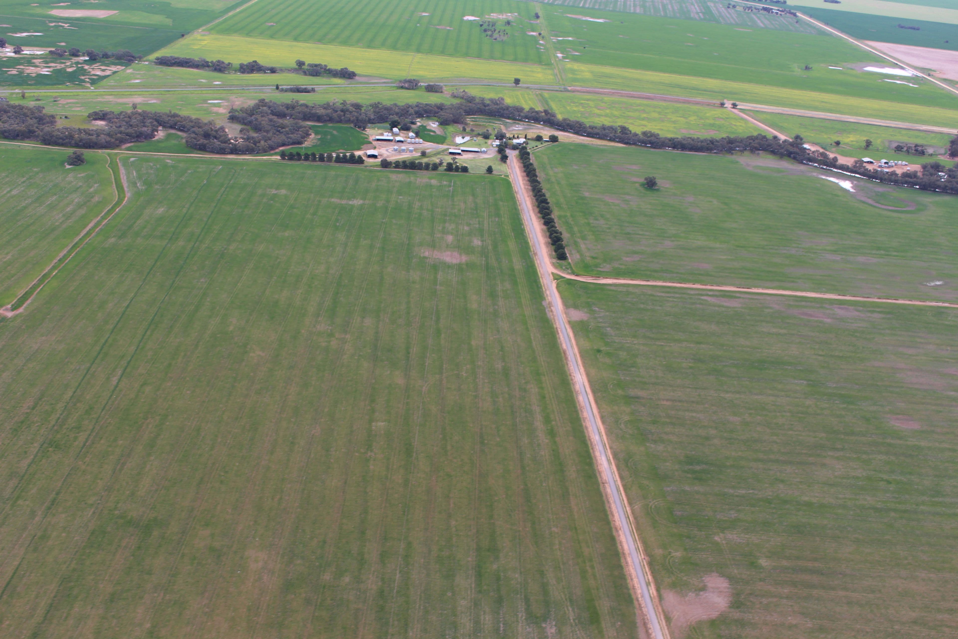 258 Cemetery Road, Quambatook VIC 3540, Quambatook - Thumbnail 3