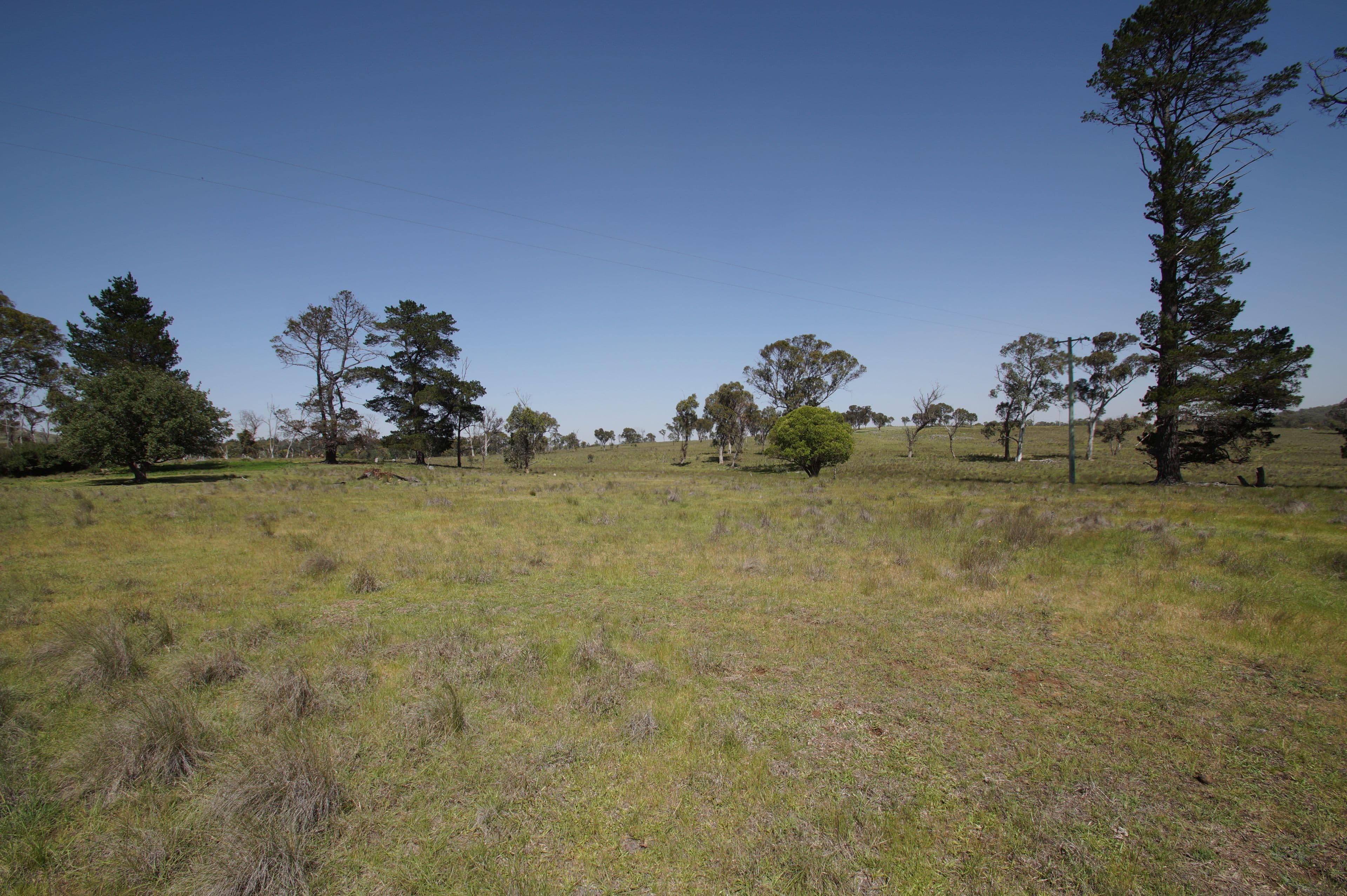 35 Dumaresq Dam Road, Armidale NSW 2350, Armidale - Thumbnail 3