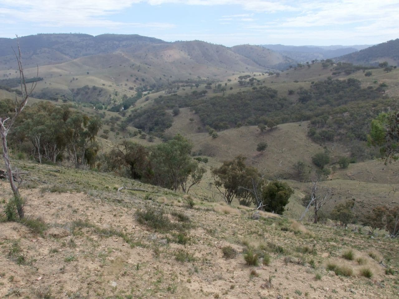 212 Quartz Ride Road, Turondale NSW 2795, Turondale - Thumbnail 2