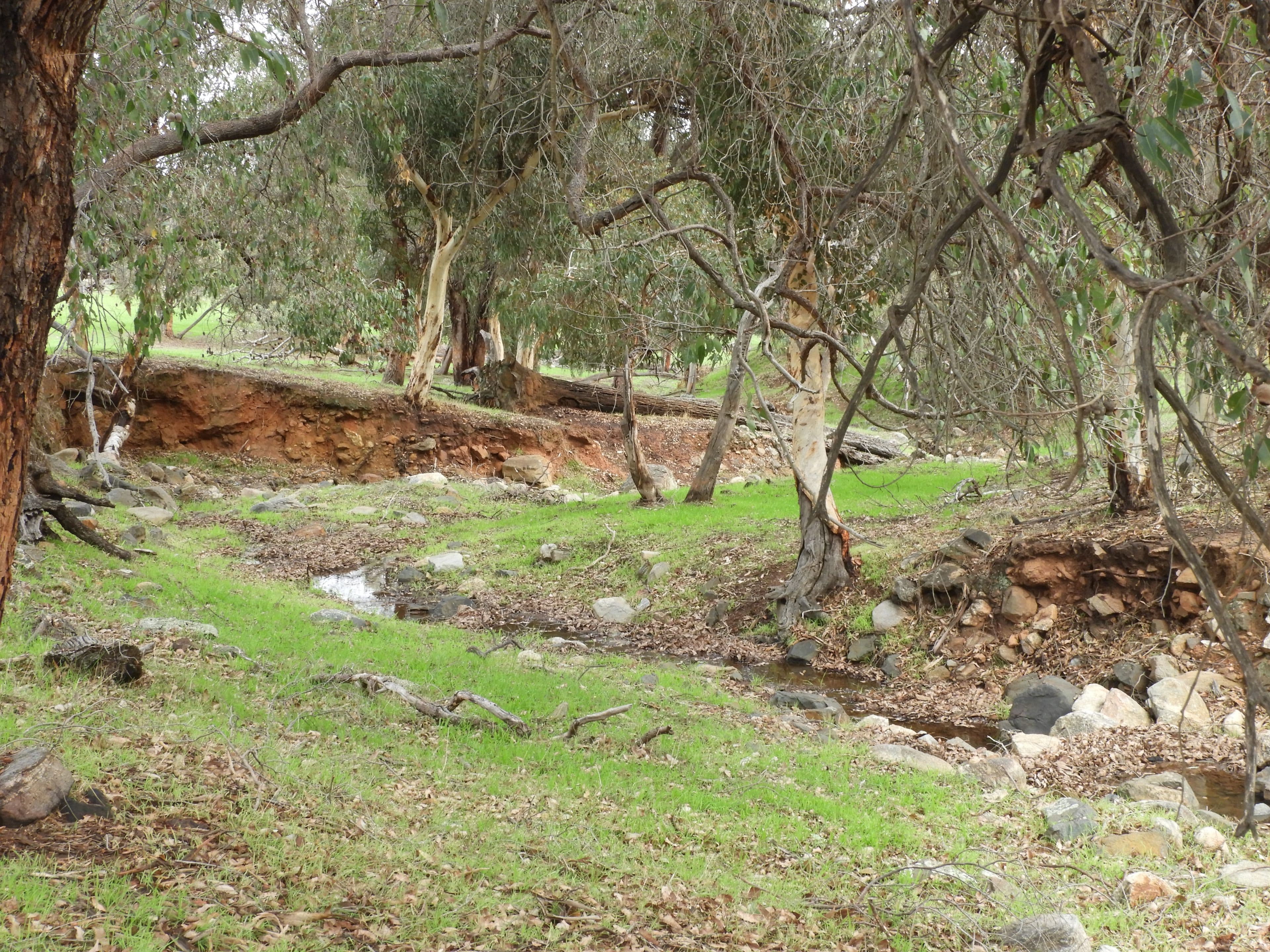 Lot 716 Lower Chittering Road, Chittering WA 6084, Chittering - Thumbnail 3