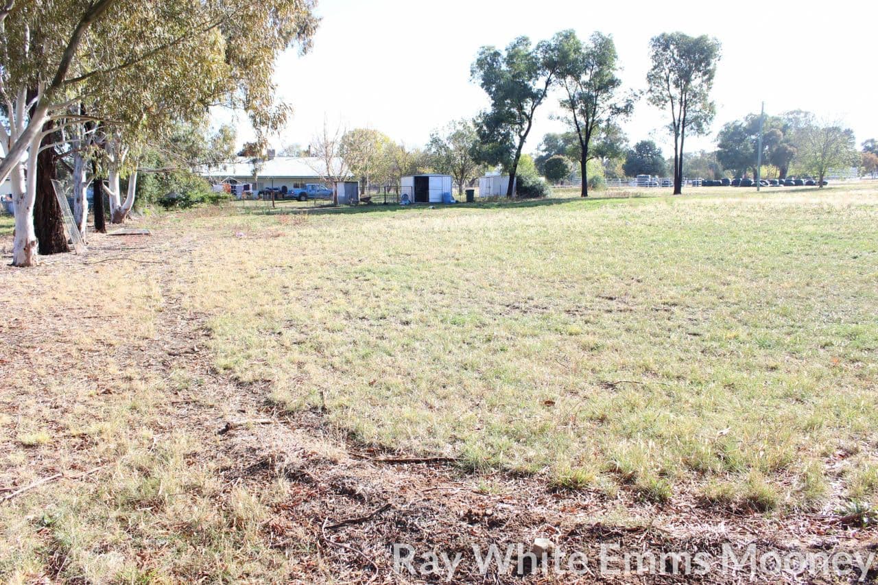 3803 The Escort Way, Cudal NSW 2864, Cudal - Thumbnail 3