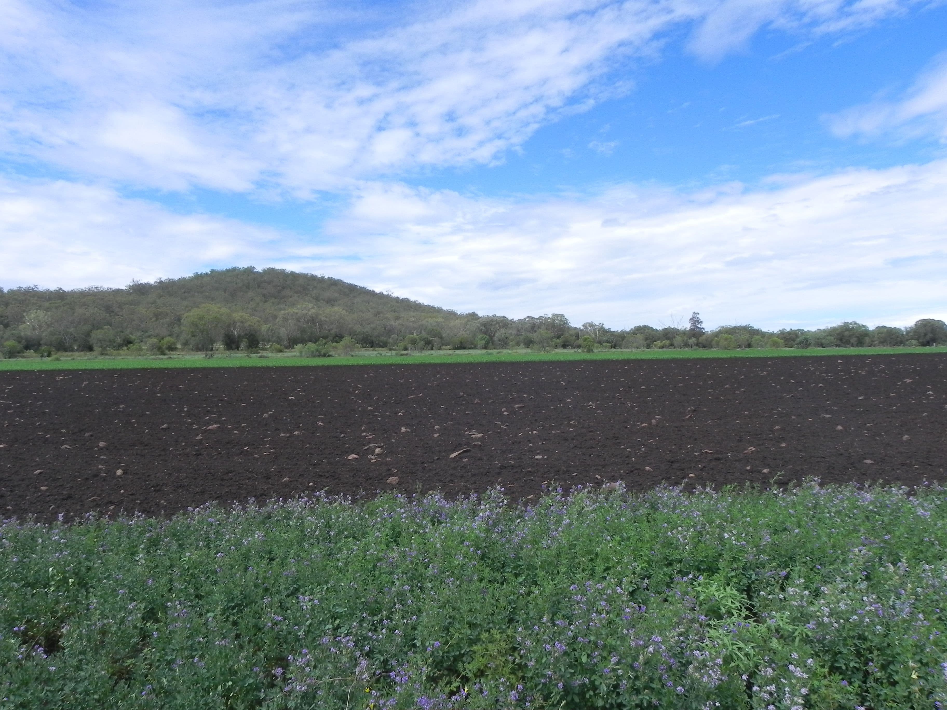 0 Wyangapinni Road, Stoneleigh, Pittsworth QLD 4356, Pittsworth - Thumbnail 7