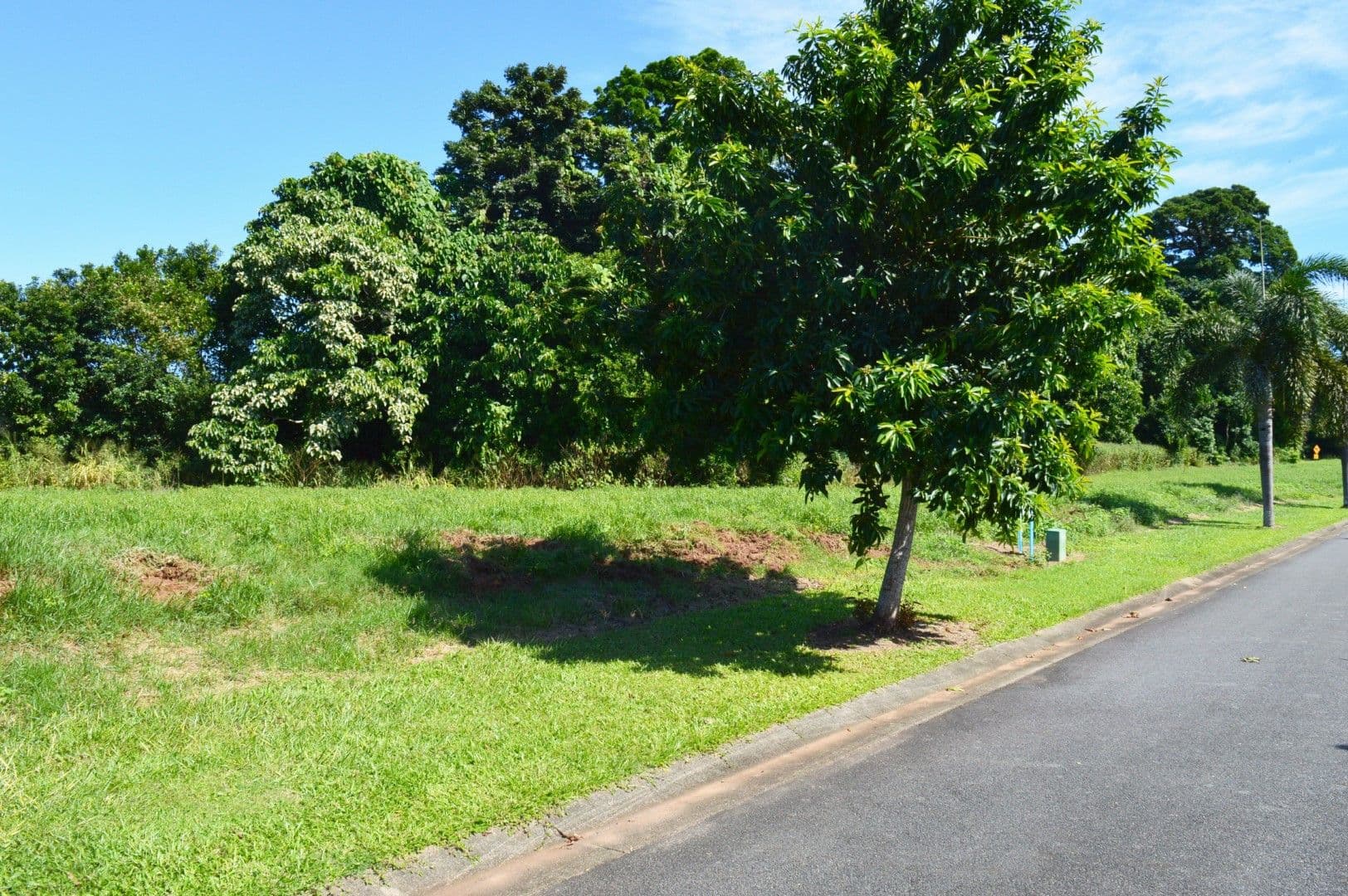 43 Shelly Court, Mission Beach QLD 4852, Mission Beach - Image 1