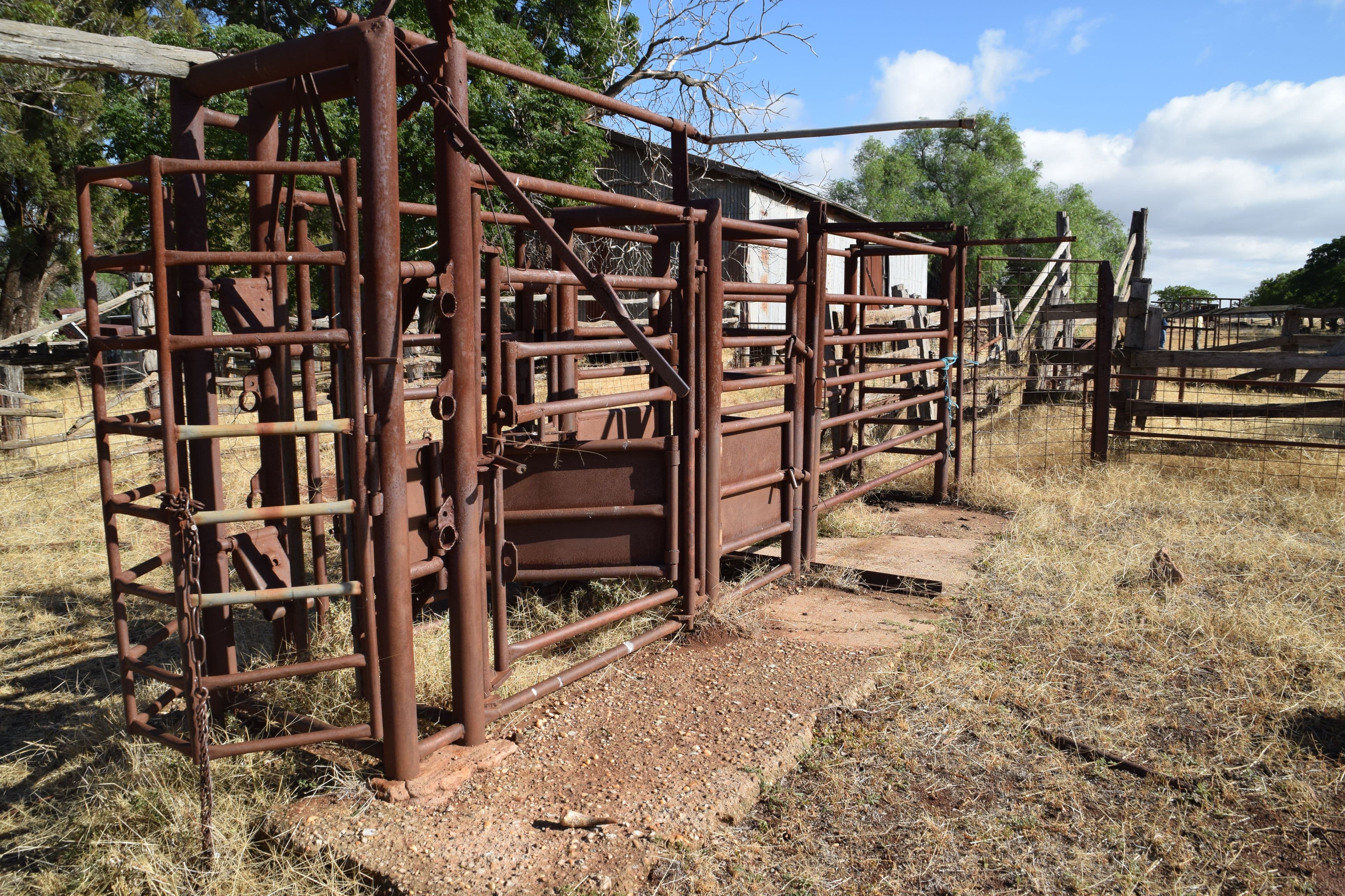 'Hillside', 153R Mogriguy Road, Mogriguy NSW 2830, Mogriguy - Thumbnail 8
