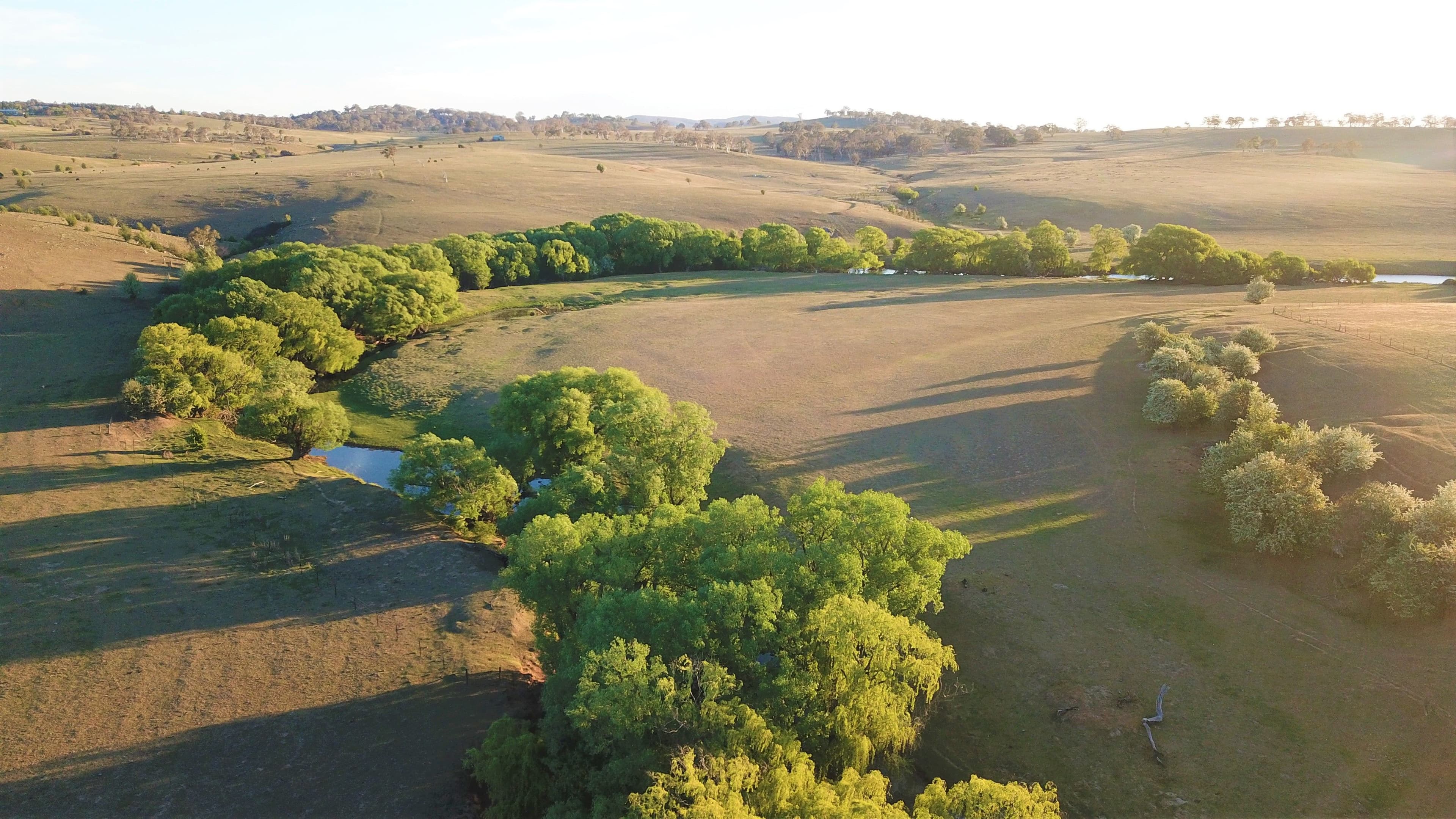 317 Gurrundah Road, Goulburn NSW 2580, Goulburn - Thumbnail 5